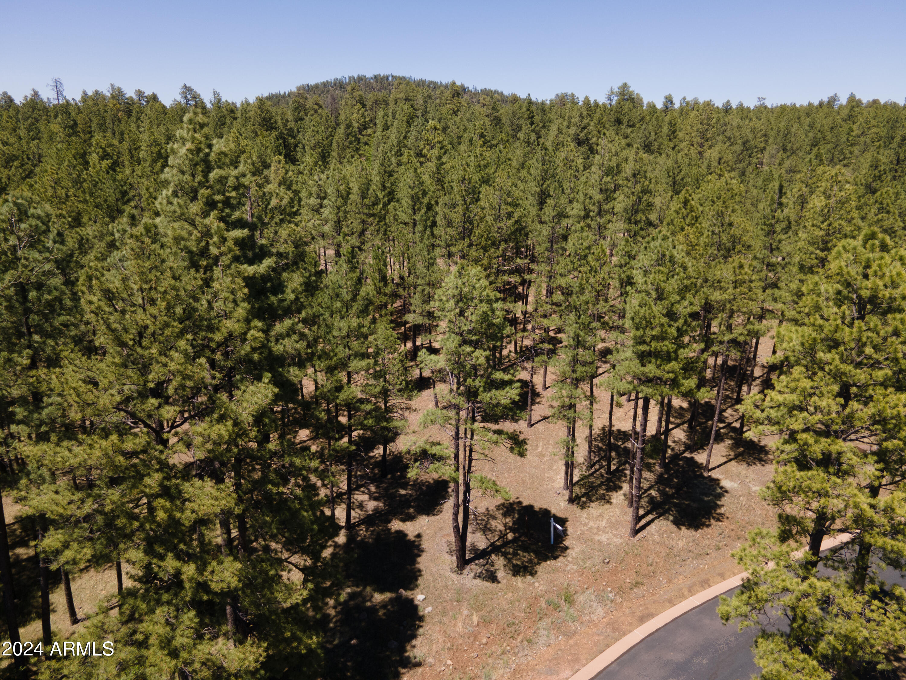 9586 Sierra Springs Way, Unit 7 Pinetop, AZ 85935 - Photo 1 of 8 a view of a field