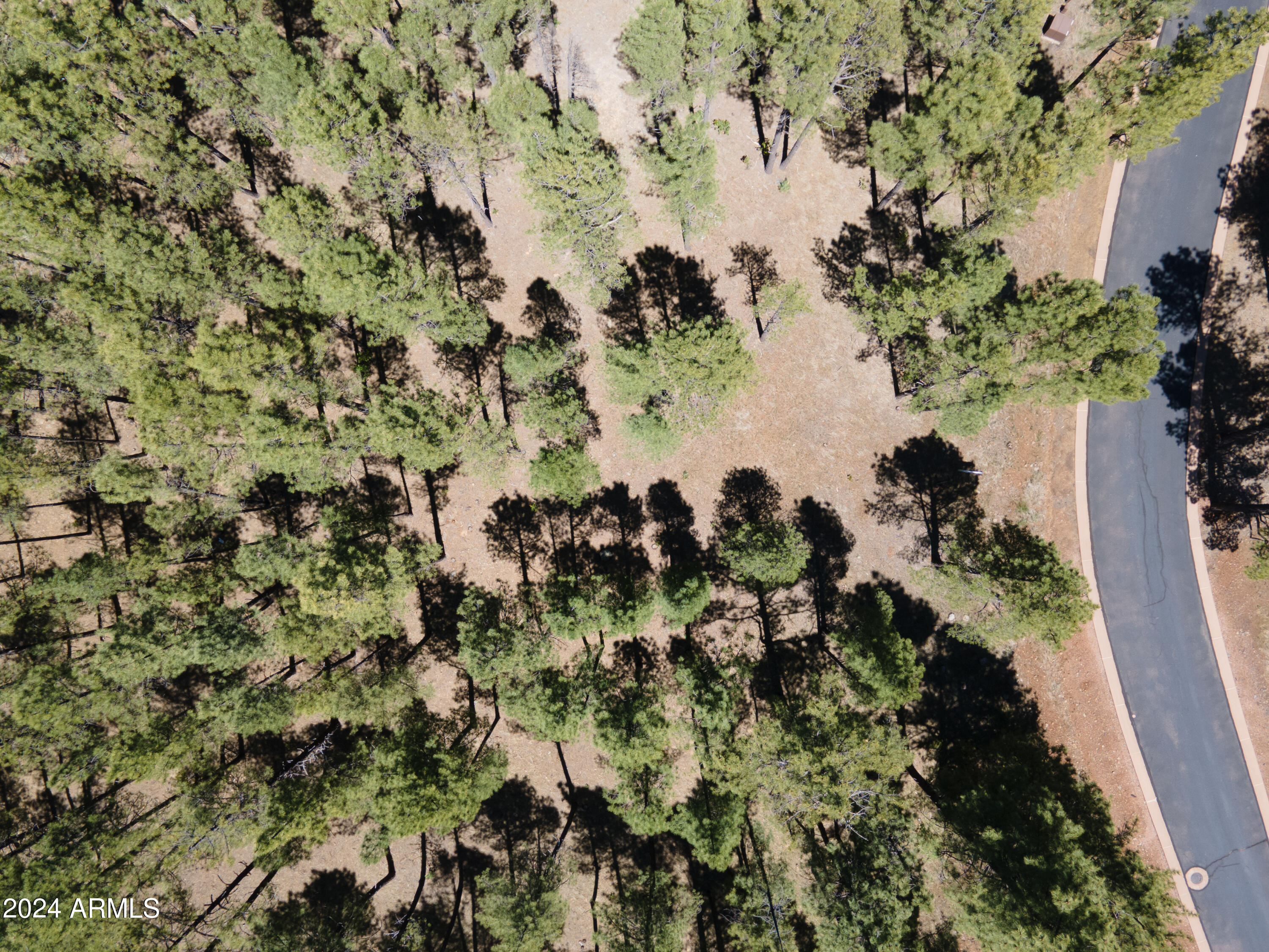 9586 Sierra Springs Way, Unit 7 Pinetop, AZ 85935 - Photo 3 of 8 a view of a yard