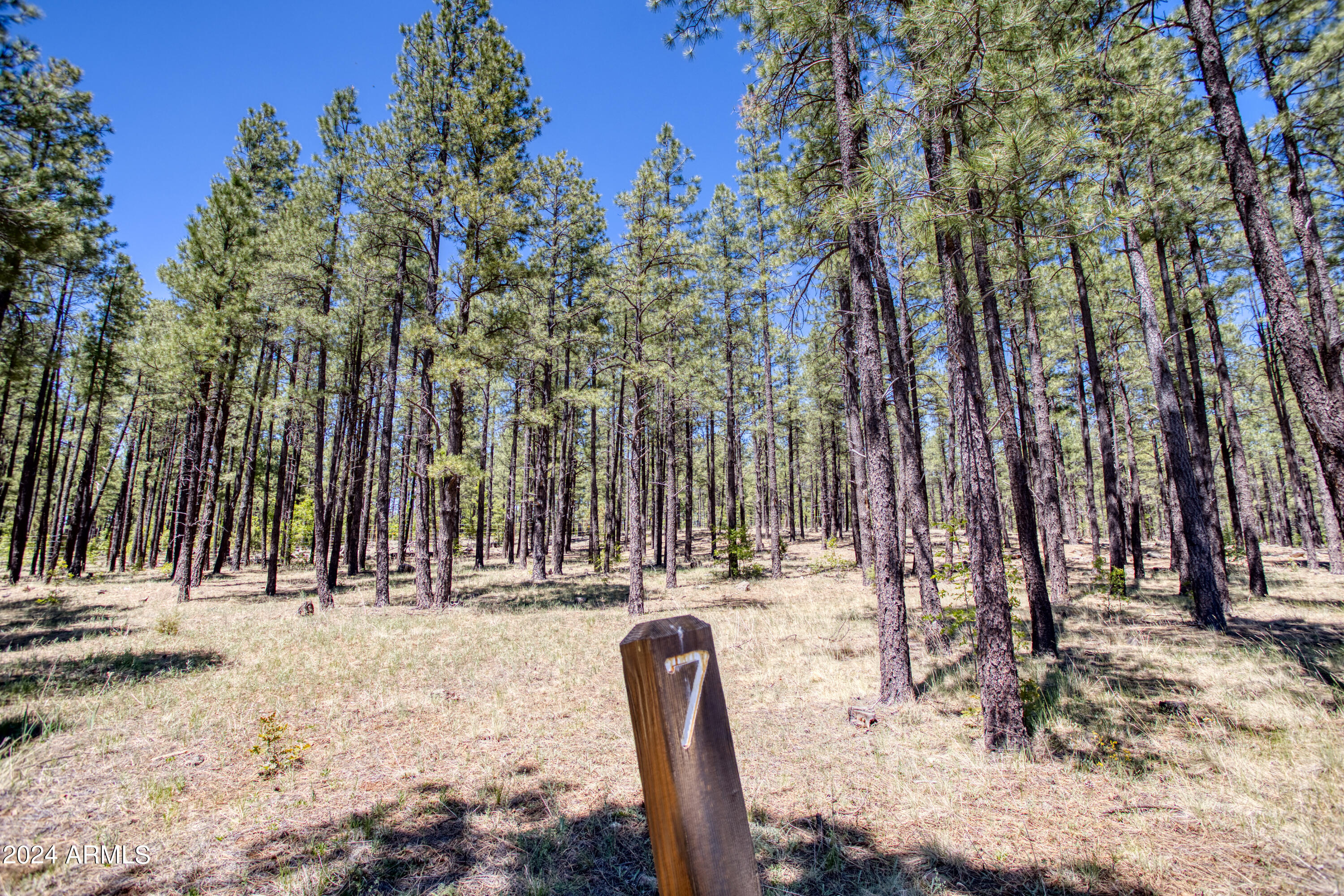 9586 Sierra Springs Way, Unit 7 Pinetop, AZ 85935 - Photo 3 of 8 a view of outdoor space with trees