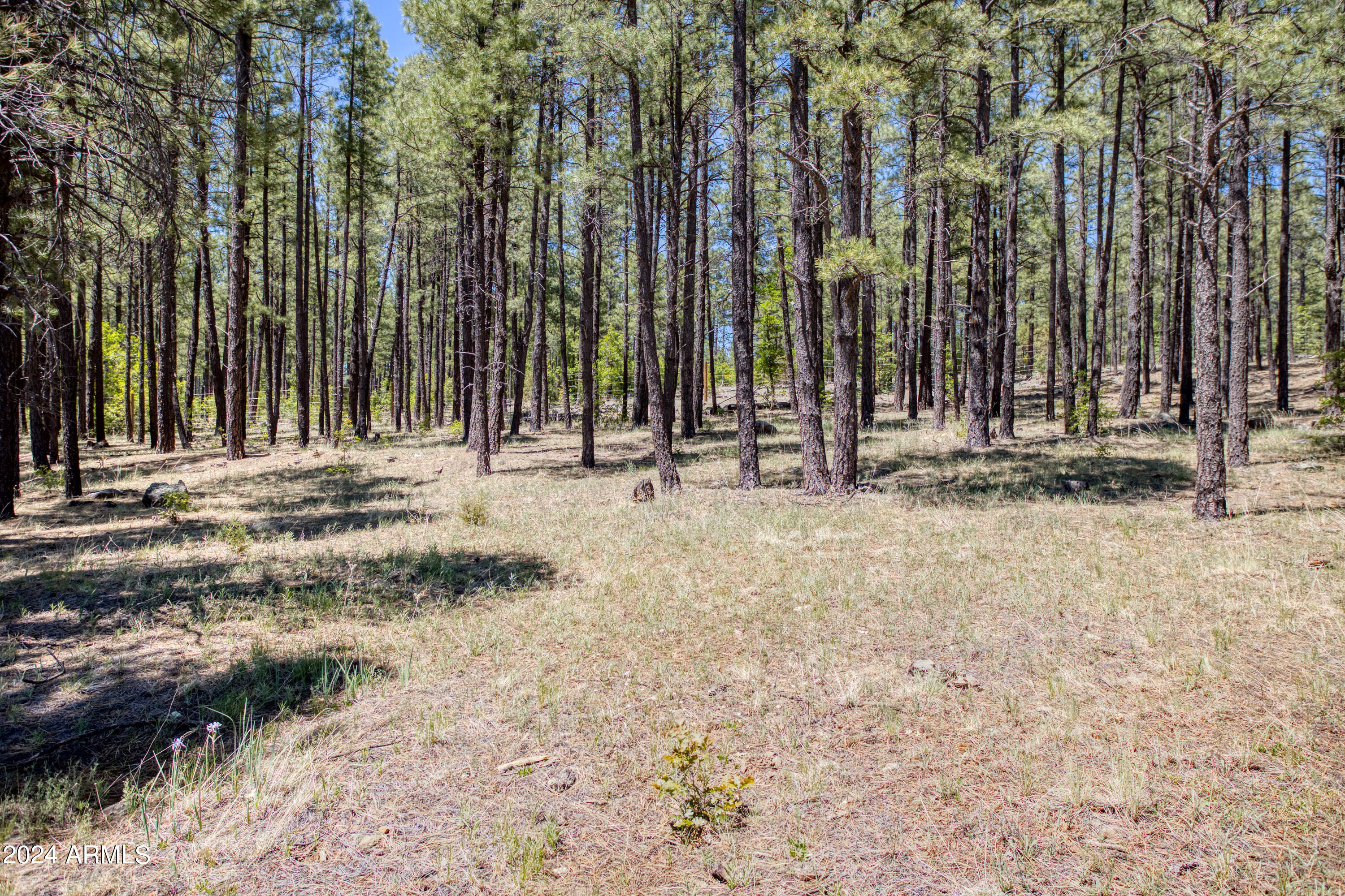 9586 Sierra Springs Way, Unit 7 Pinetop, AZ 85935 - Photo 7 of 8 a view of outdoor space with street view