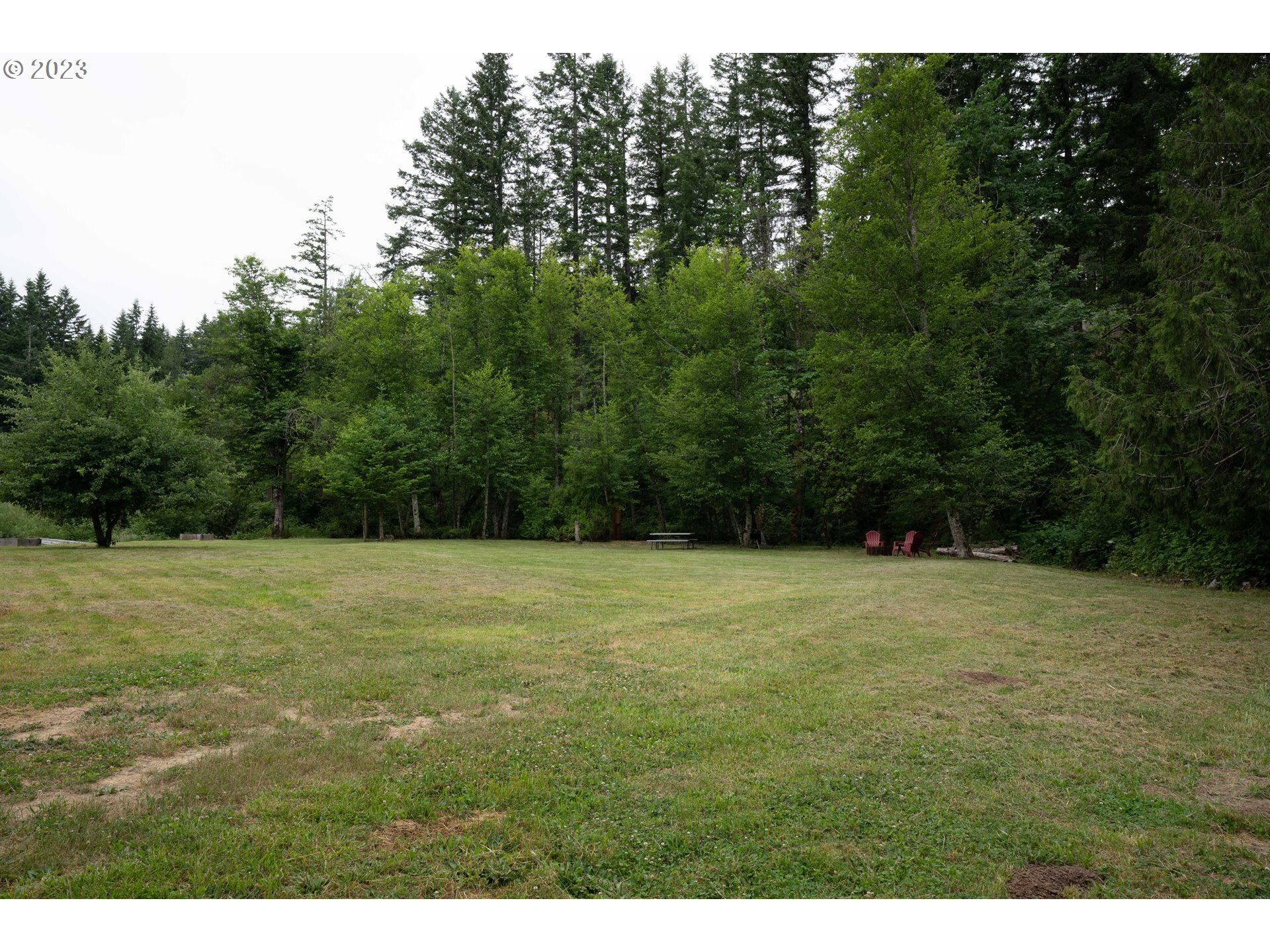 37489 South Wilhoit Road Molalla, OR 97038 - Photo 32 of 38 a backyard of a house with lots of green space