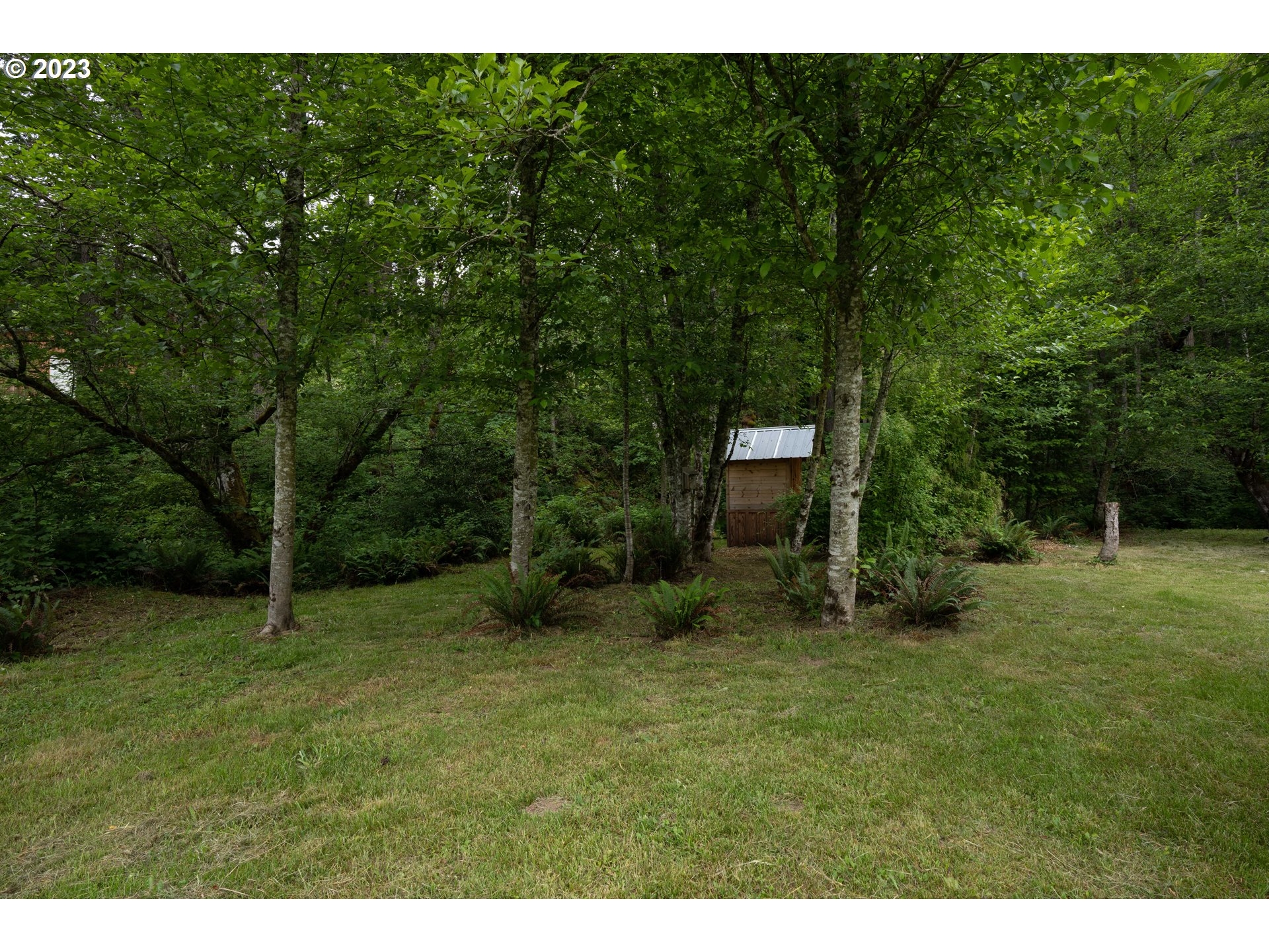 37489 South Wilhoit Road Molalla, OR 97038 - Photo 36 of 38 a view of an outdoor space and a yard