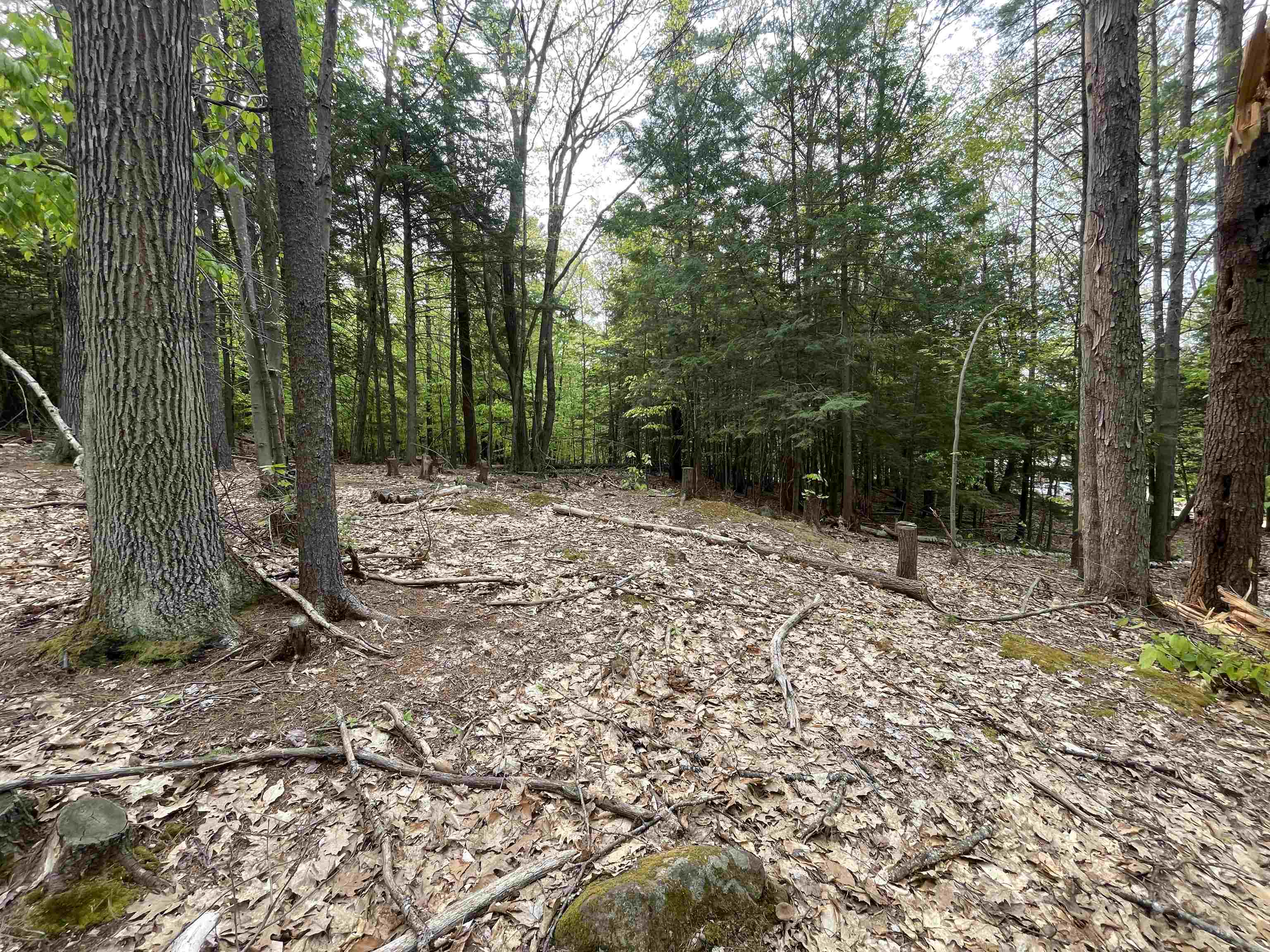 49 Durrell Mountain Road Belmont, NH 03220 - Photo 7 of 14
