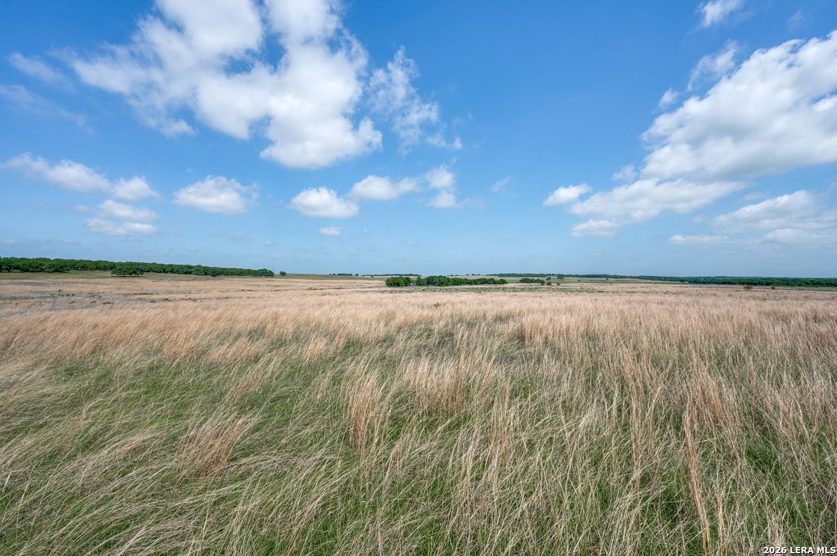 Tbd Browning Road Bellevue, TX 76228 - Photo 12 of 15