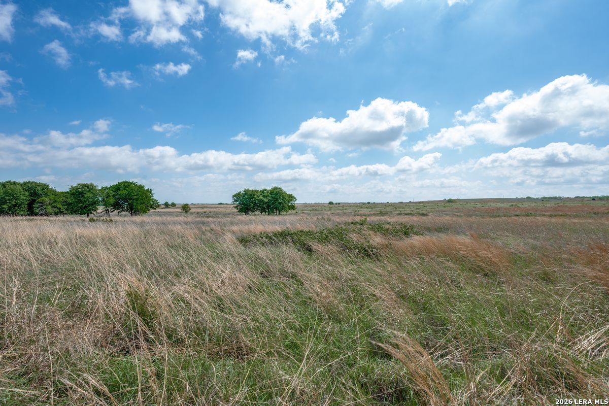 Tbd Browning Road Bellevue, TX 76228 - Photo 4 of 15