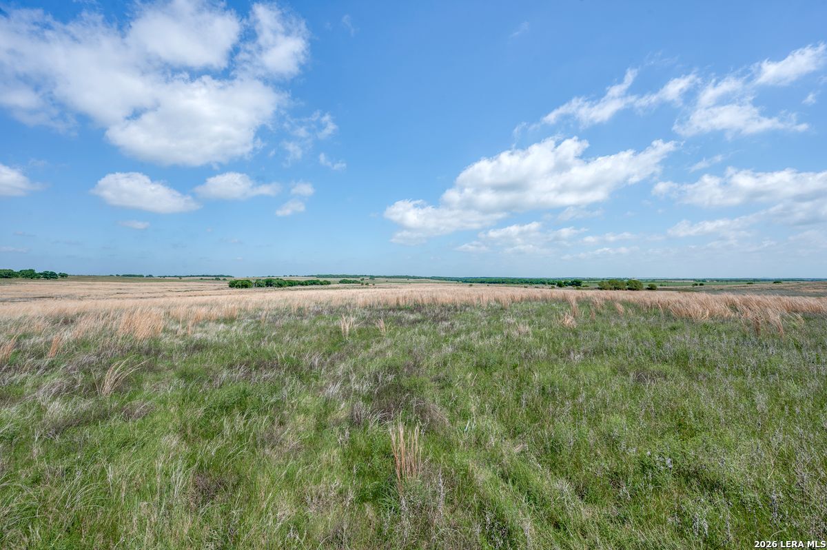 Tbd Browning Road Bellevue, TX 76228 - Photo 5 of 15
