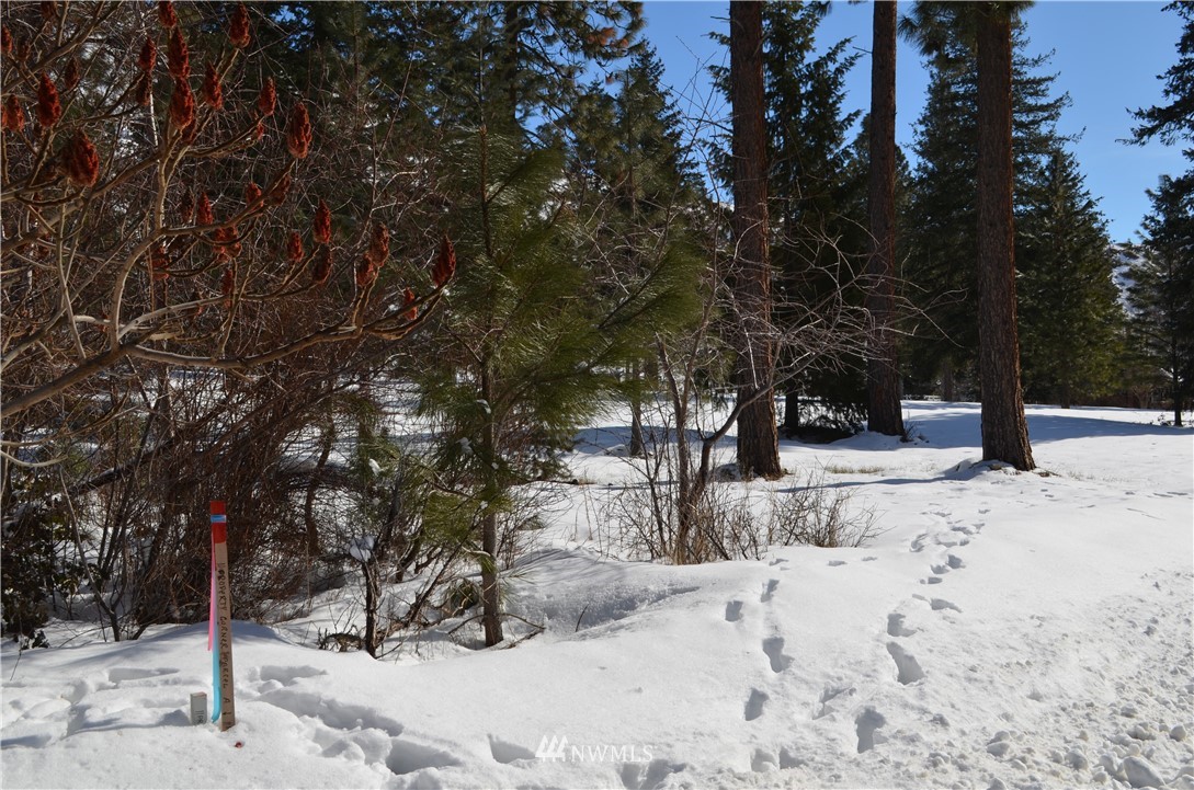 12330 Entiat River Road Entiat, WA 98822 - Photo 14 of 40 Gallery Image 14