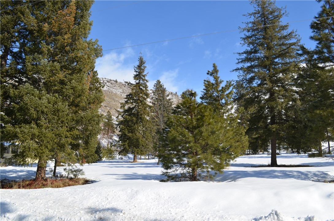 12330 Entiat River Road Entiat, WA 98822 - Photo 3 of 40 Gallery Image 3