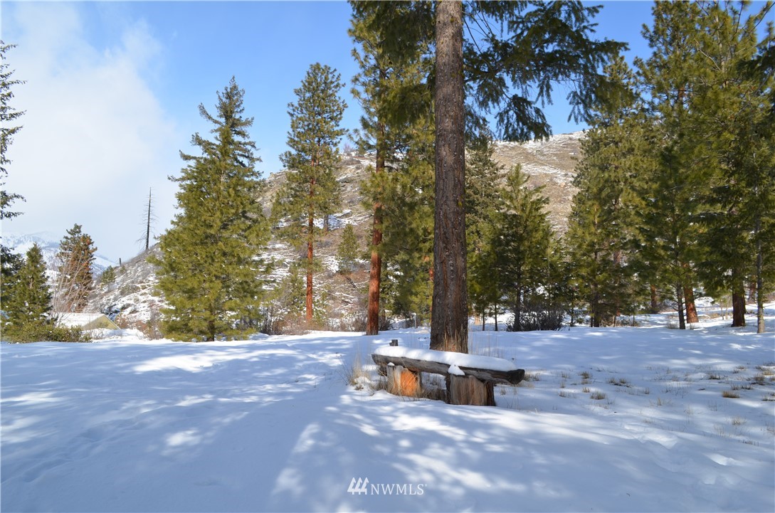 12330 Entiat River Road Entiat, WA 98822 - Photo 22 of 40 Gallery Image 22