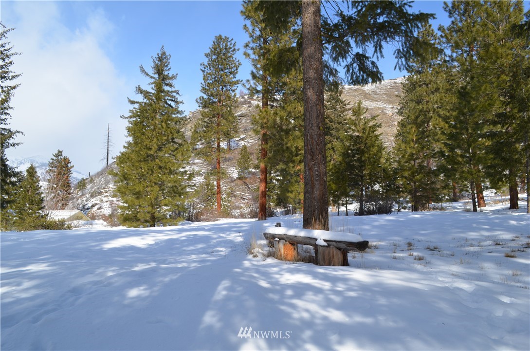 12330 Entiat River Road Entiat, WA 98822 - Photo 4 of 40 Gallery Image 4