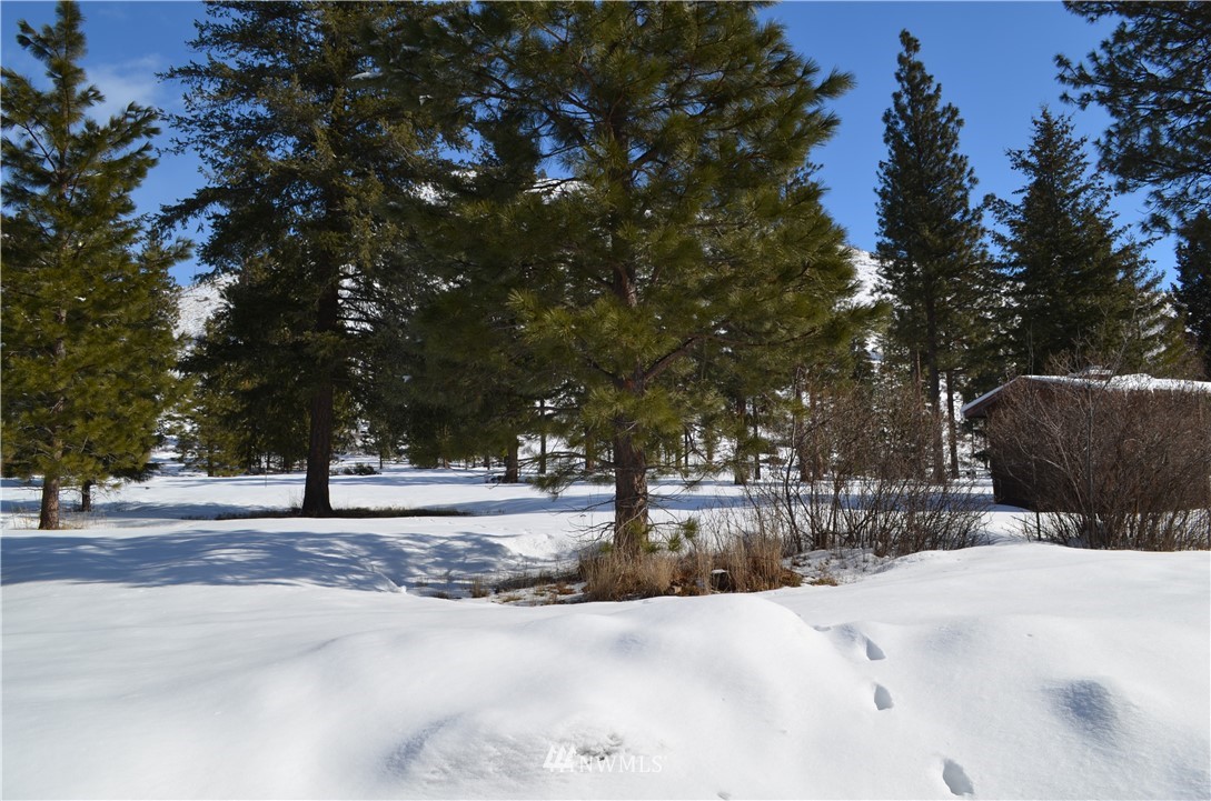12330 Entiat River Road Entiat, WA 98822 - Photo 8 of 40 Gallery Image 8