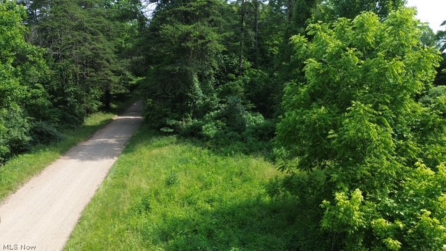 0 East Side Hayman Road Long Bottom, OH 45743 - Photo 4 of 14