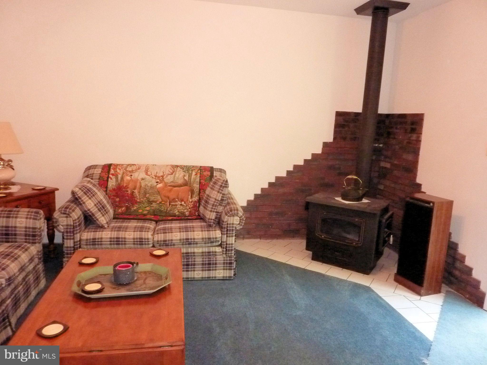 1391 Sale Barn Road Accident, MD 21520 - Photo 8 of 30 Living Room
