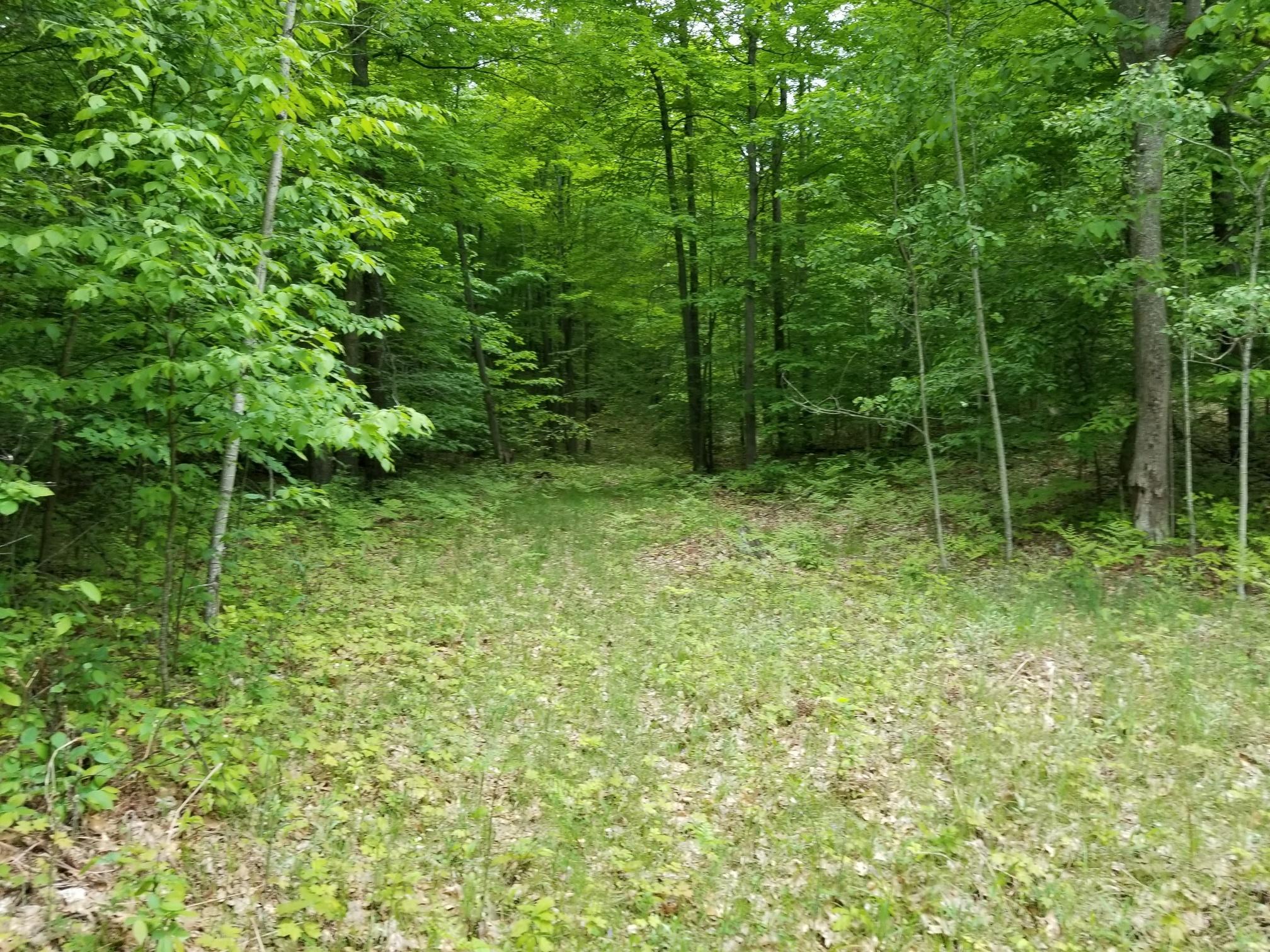 Tower Road Curran, MI 48728 - Photo 3 of 7 Gallery Image 3
