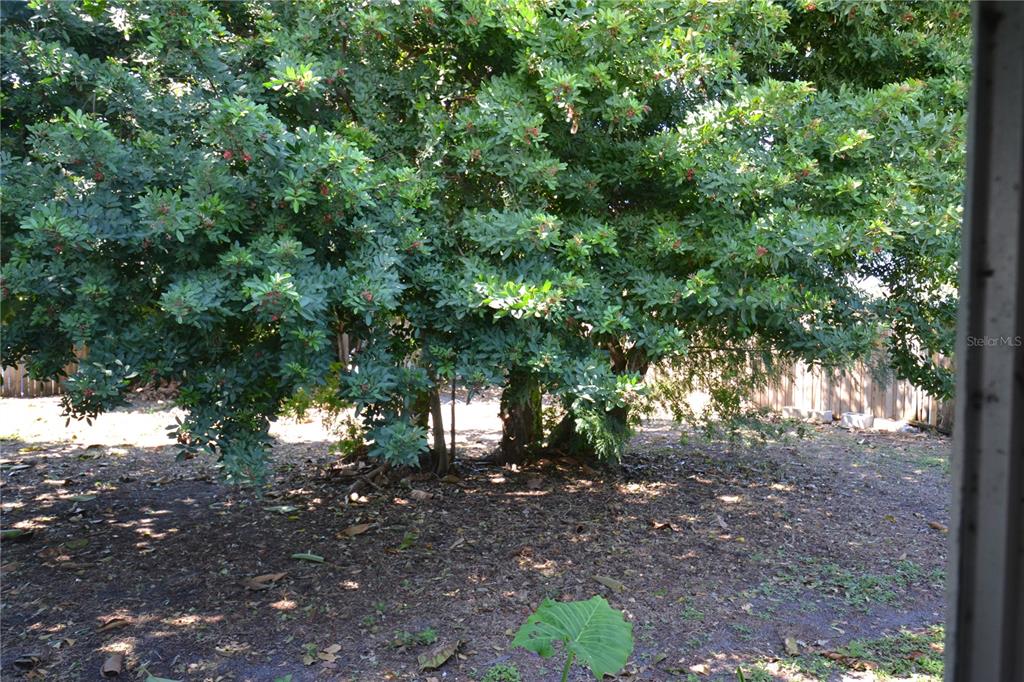 2143 Chatlin Road Holiday, FL 34691 - Photo 32 of 43