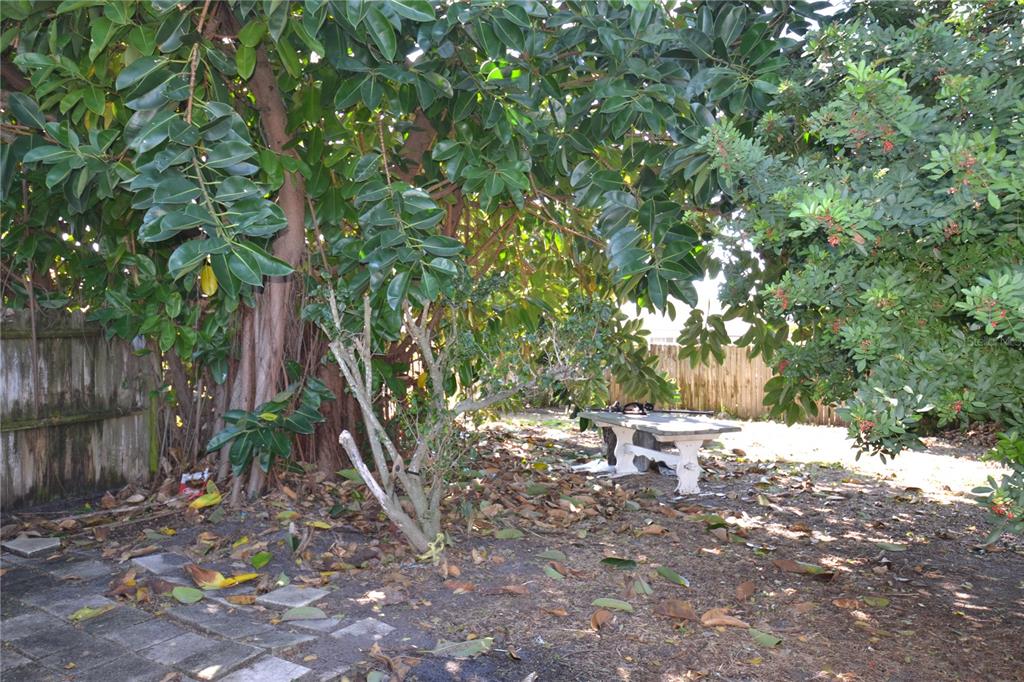 2143 Chatlin Road Holiday, FL 34691 - Photo 33 of 43