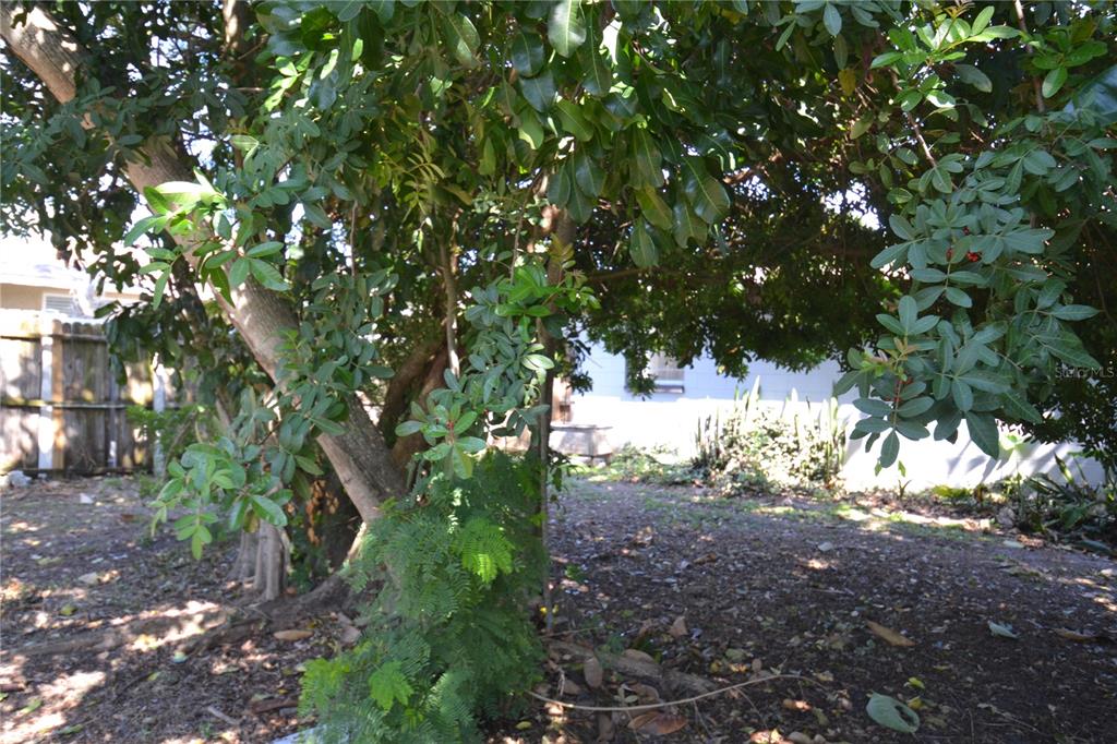 2143 Chatlin Road Holiday, FL 34691 - Photo 38 of 43