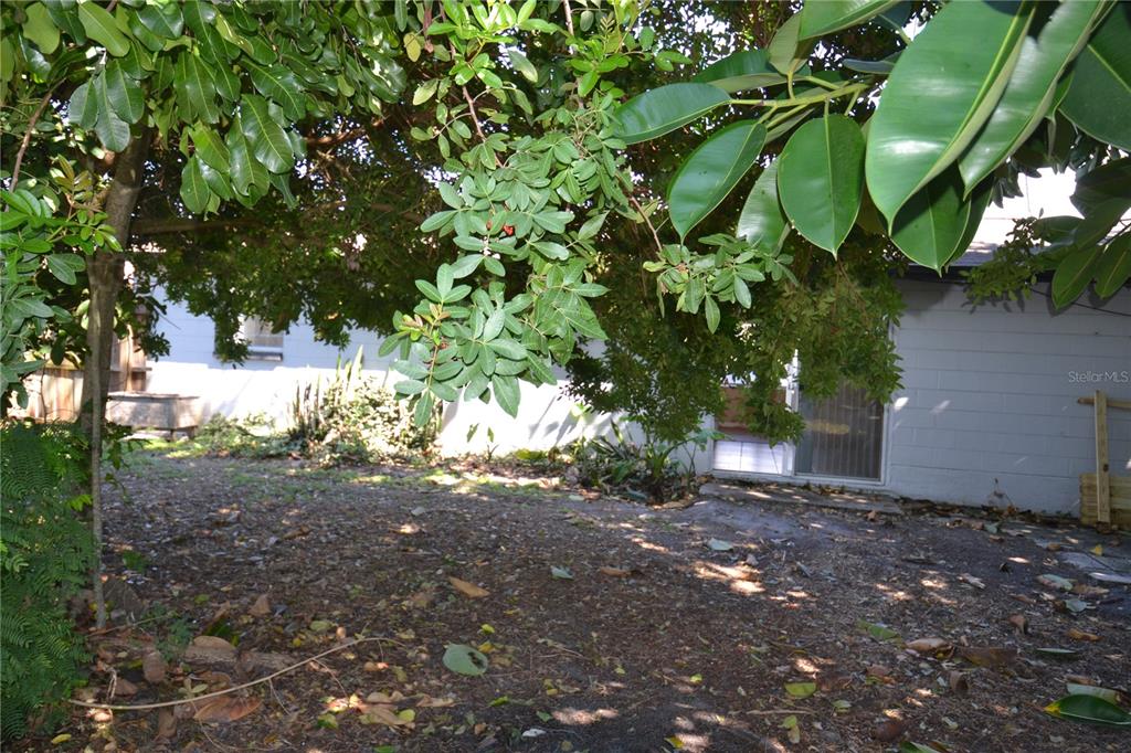 2143 Chatlin Road Holiday, FL 34691 - Photo 39 of 43