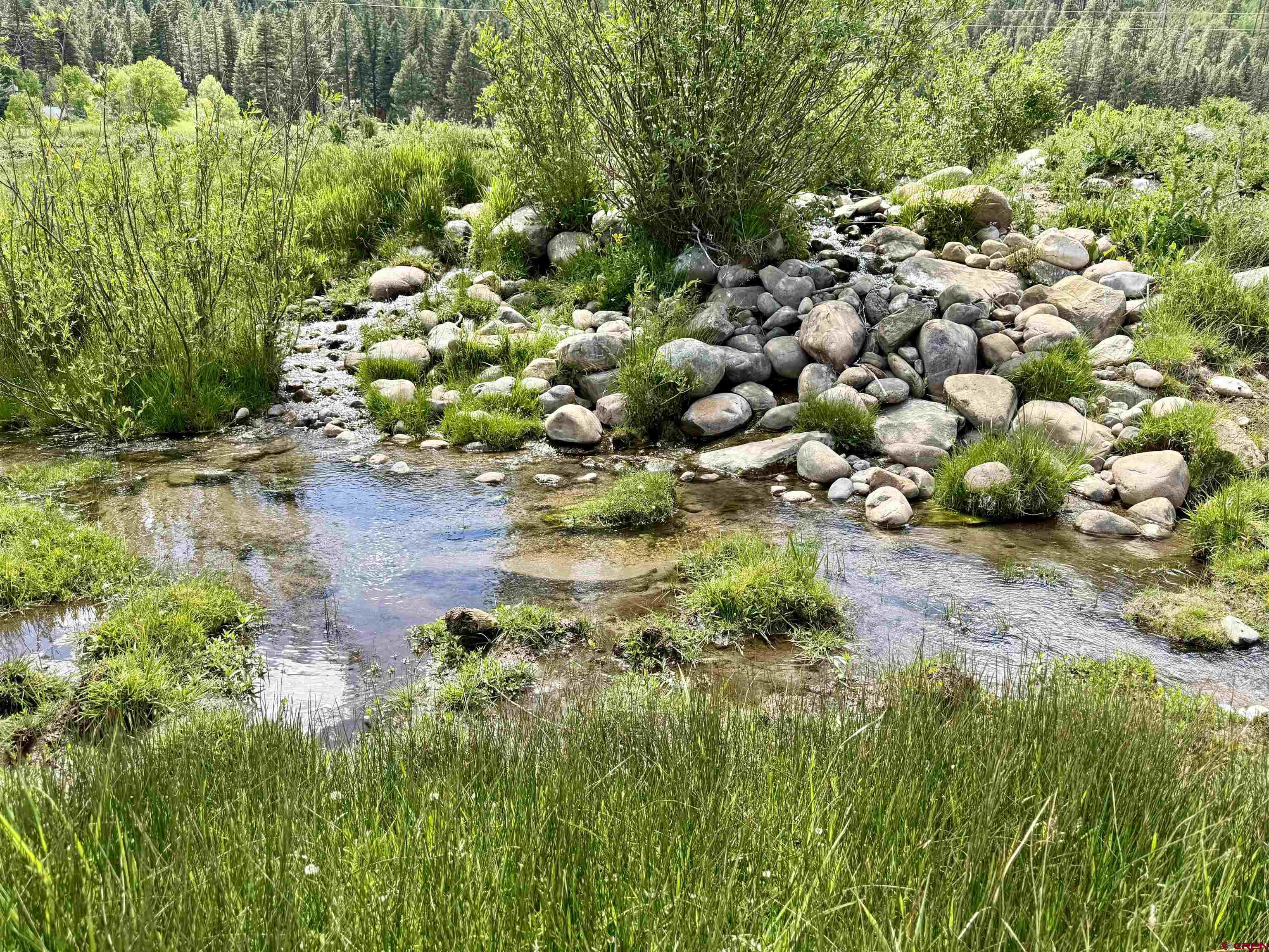 156 Golden Forest Road Bayfield, CO 81122 - Photo 8 of 23