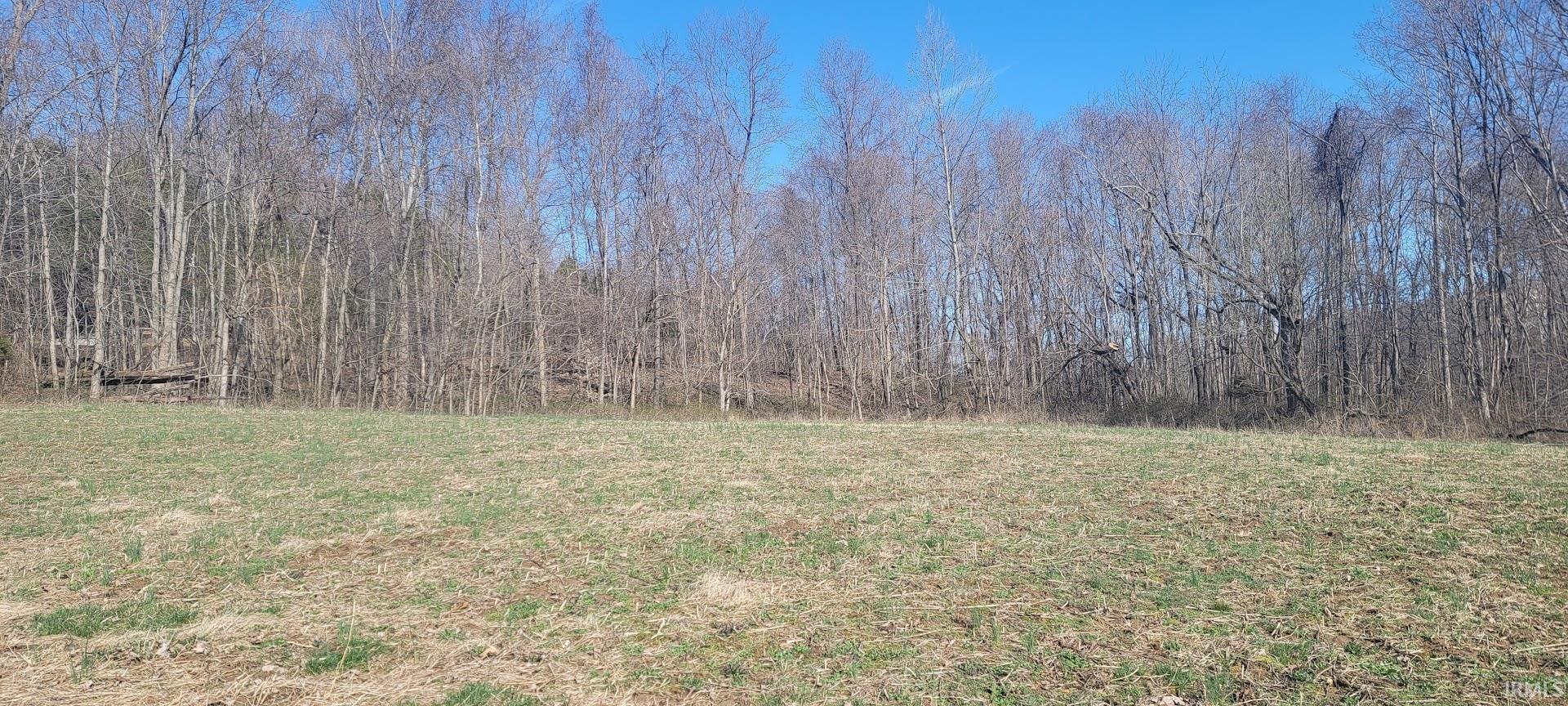 0 St Road Williams, IN 47470 - Photo 3 of 19
