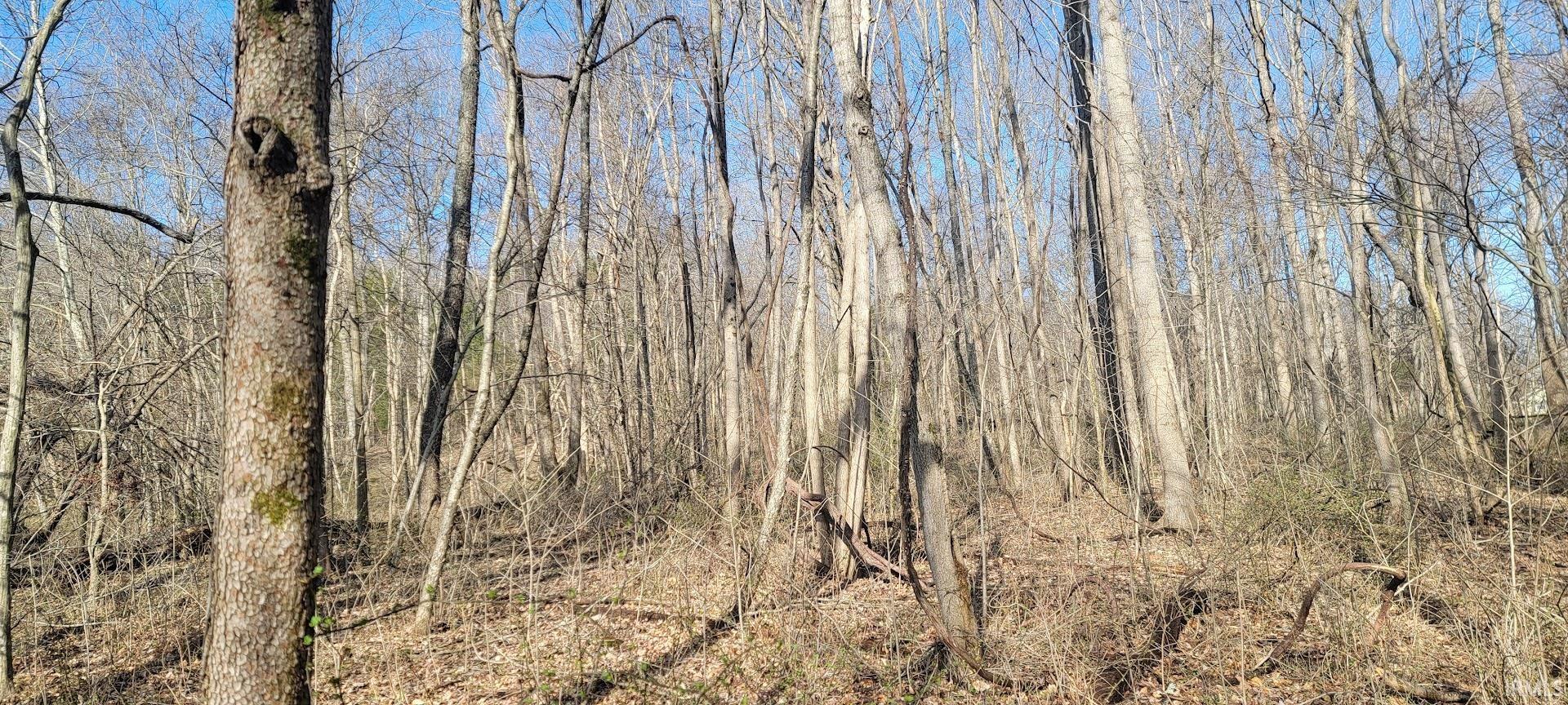 0 St Road Williams, IN 47470 - Photo 9 of 19
