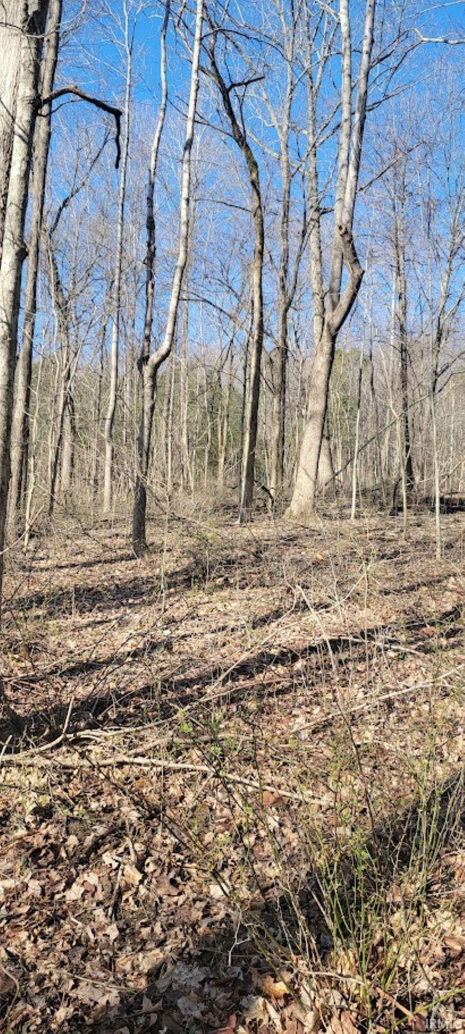 0 St Road Williams, IN 47470 - Photo 10 of 19