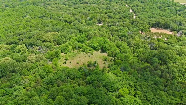 $2,750,000 | Tract Aa Tract Aa Tbd Private Road, Van, TX 75790