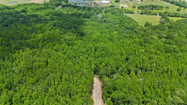 $2,750,000 | Tract Aa Tract Aa Tbd Private Road, Van, TX 75790