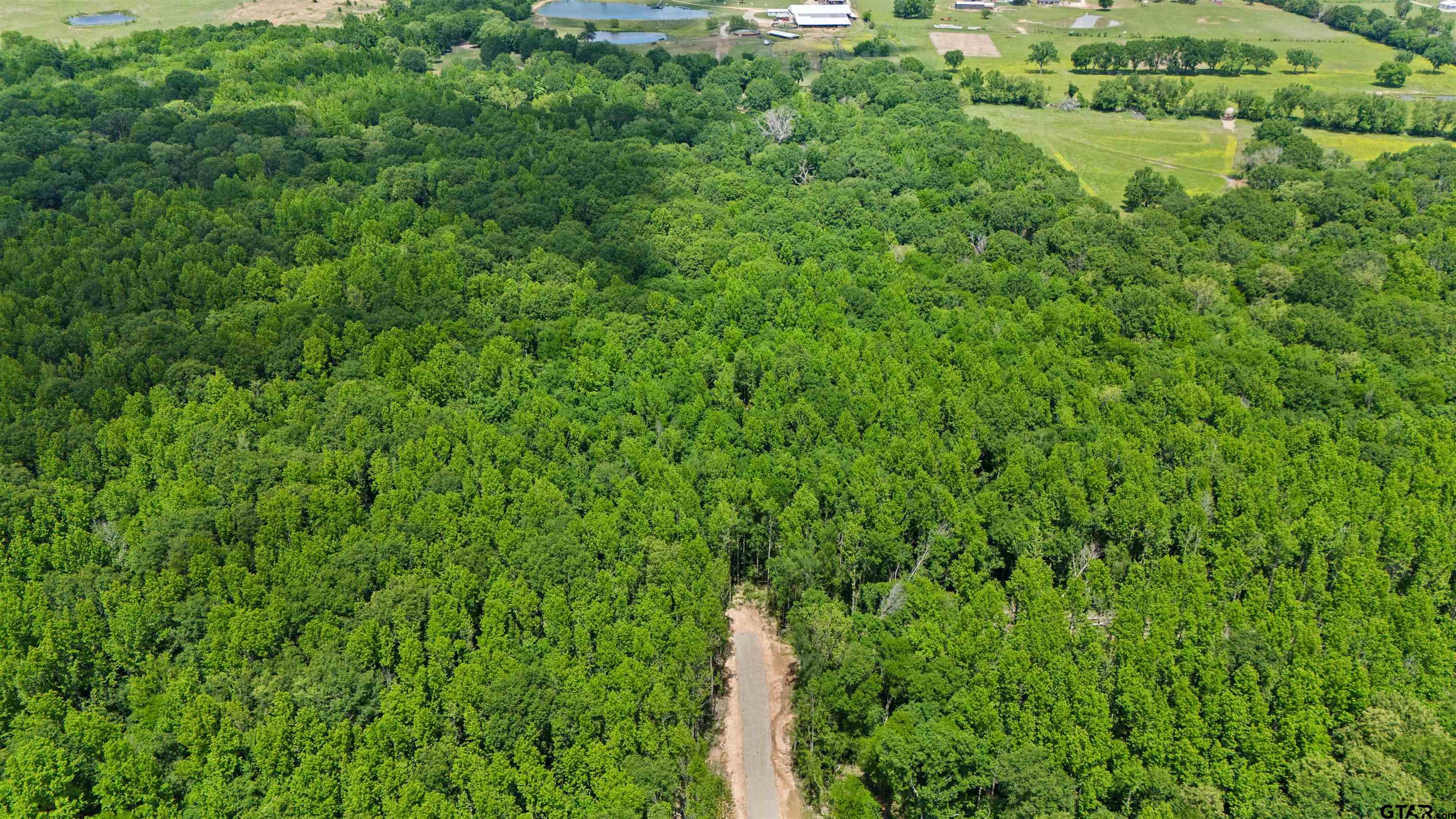 Tract Aa Tract Aa Tbd Private Road Van, TX 75790 - Photo 15 of 24