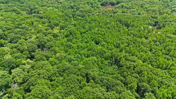 $2,750,000 | Tract Aa Tract Aa Tbd Private Road, Van, TX 75790