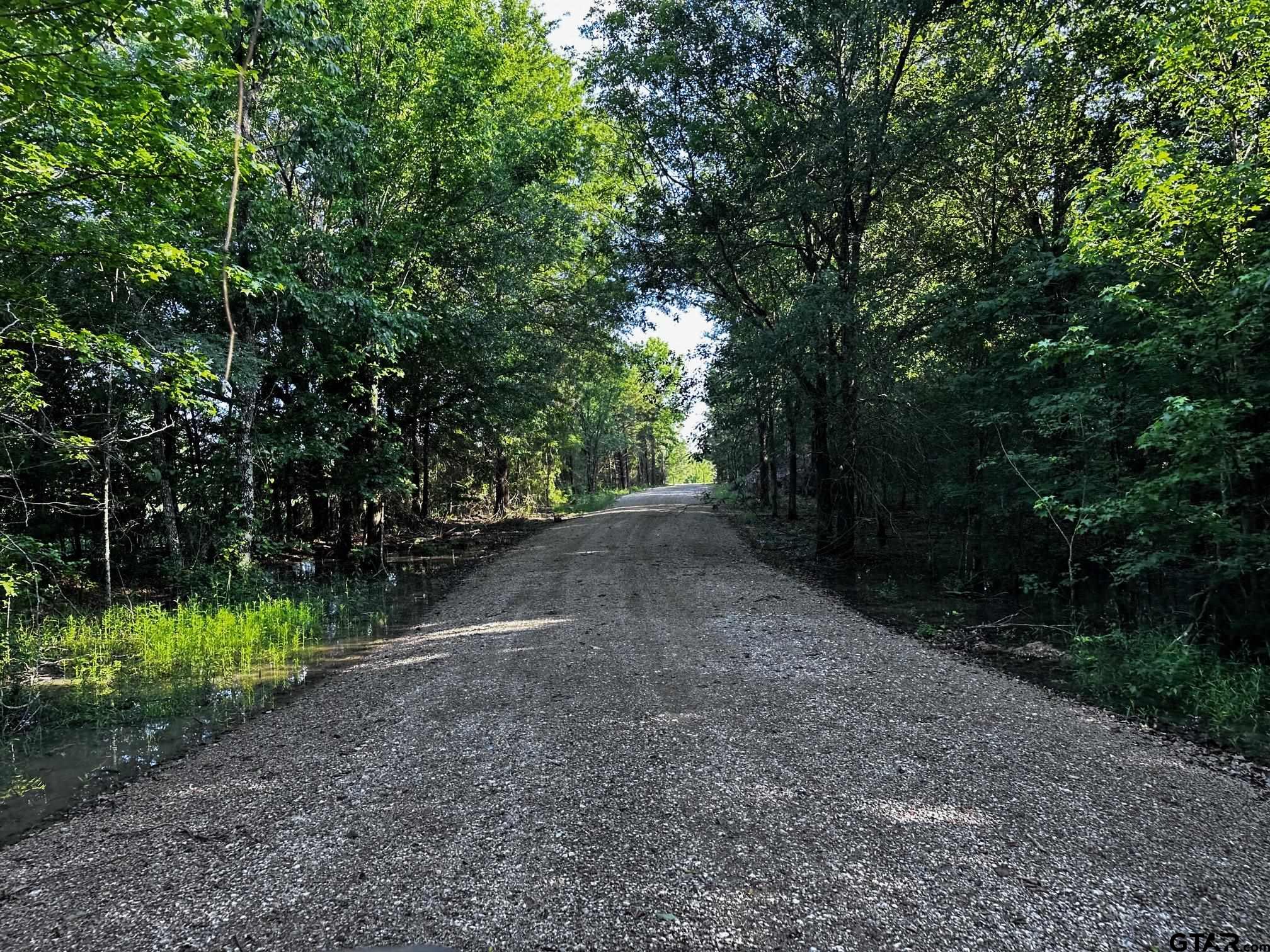 Tract Aa Tract Aa Tbd Private Road Van, TX 75790 - Photo 21 of 24