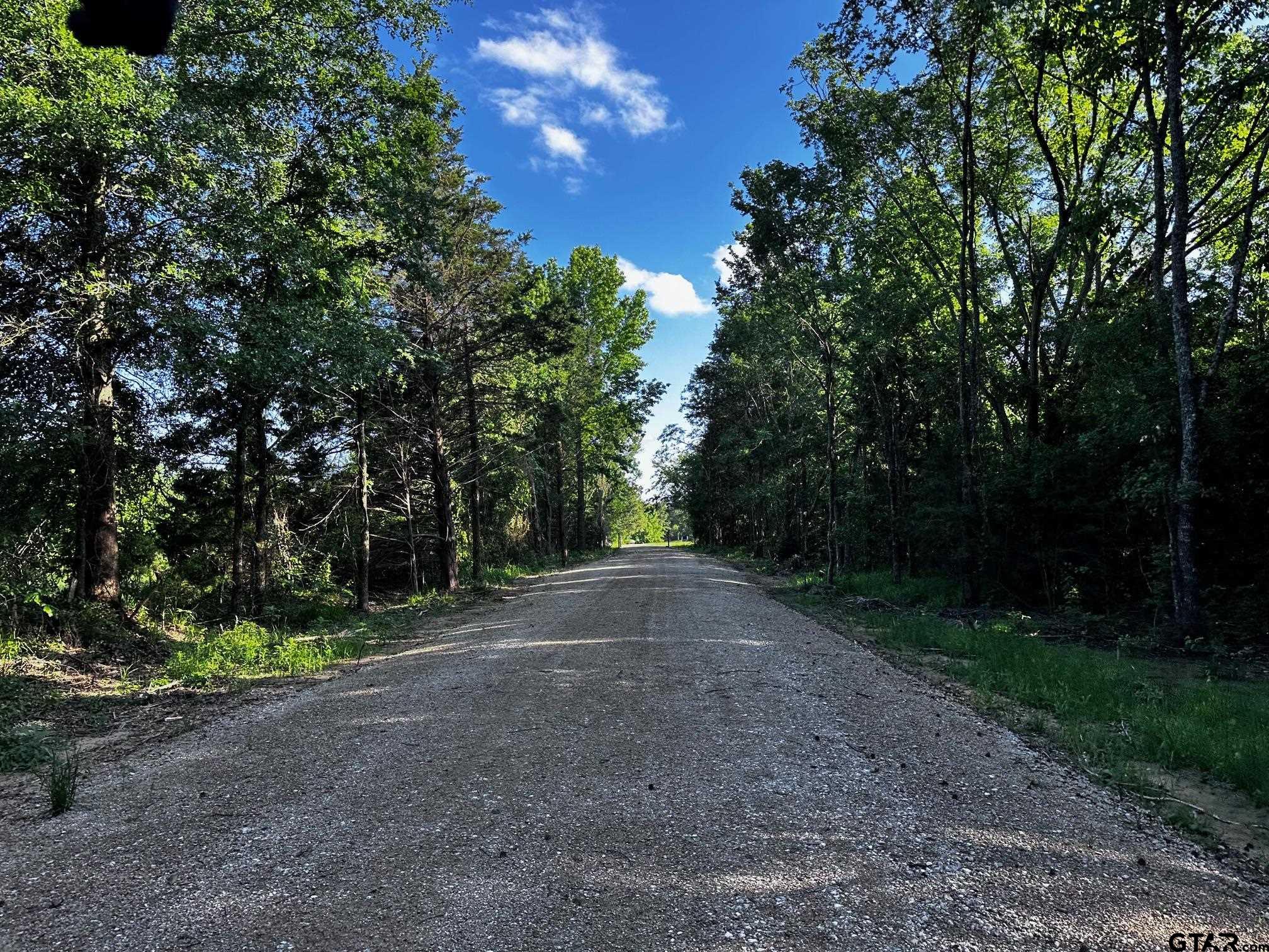 Tract Aa Tract Aa Tbd Private Road Van, TX 75790 - Photo 22 of 24