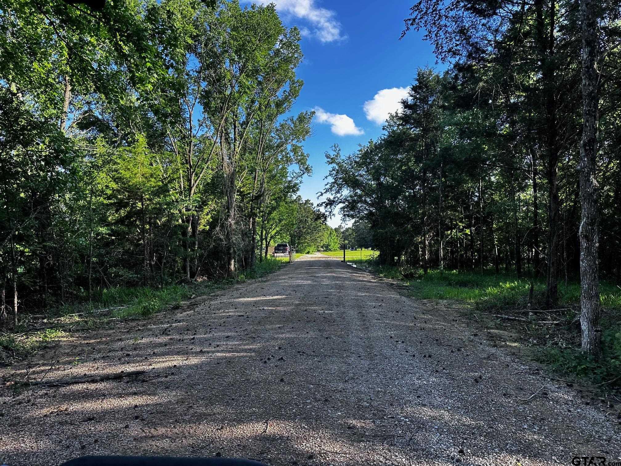 Tract Aa Tract Aa Tbd Private Road Van, TX 75790 - Photo 23 of 24