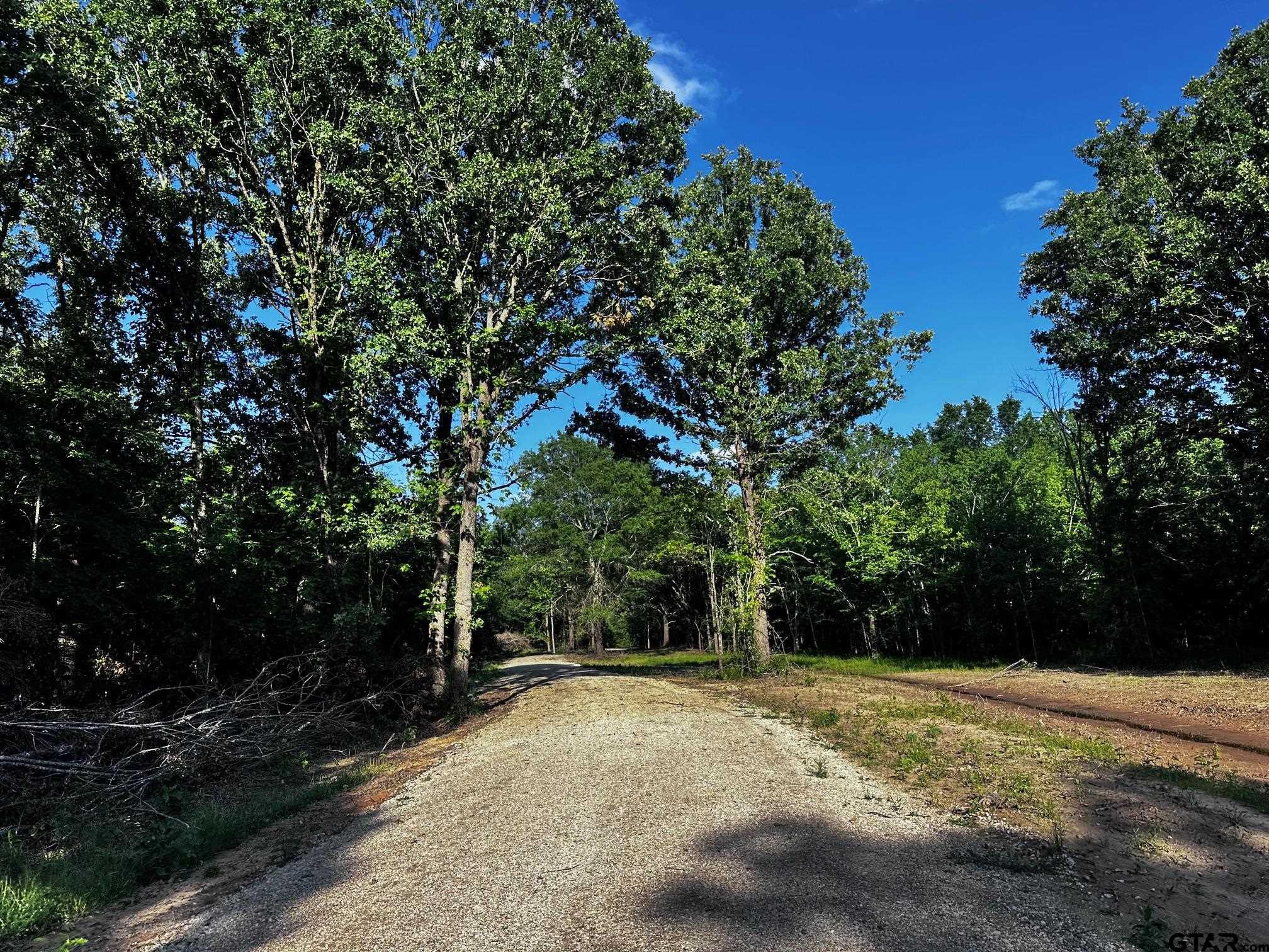 Tract Aa Tract Aa Tbd Private Road Van, TX 75790 - Photo 24 of 24