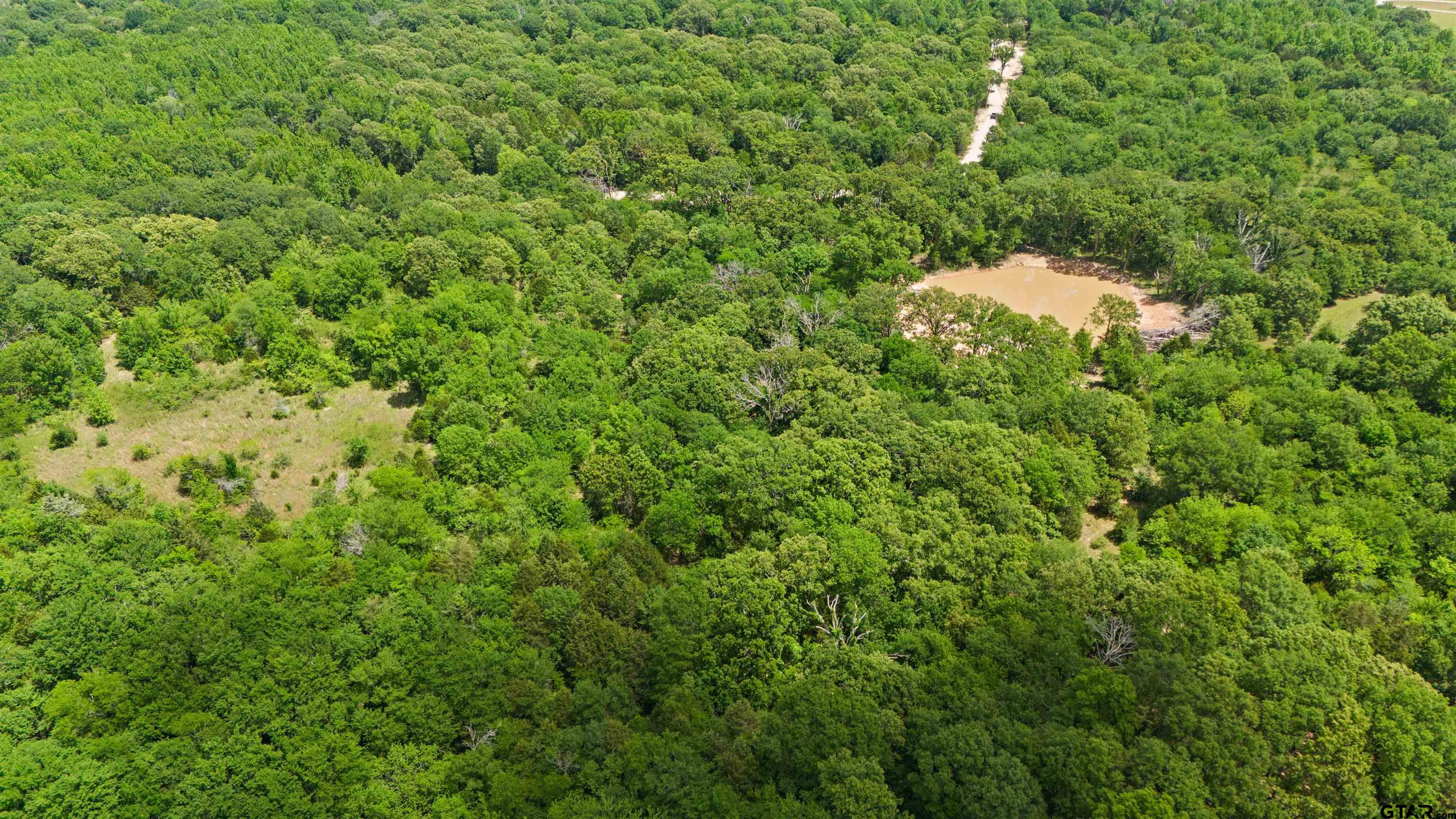 Tract Aa Tract Aa Tbd Private Road Van, TX 75790 - Photo 10 of 24