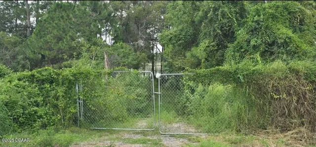 a view of a green field with plants