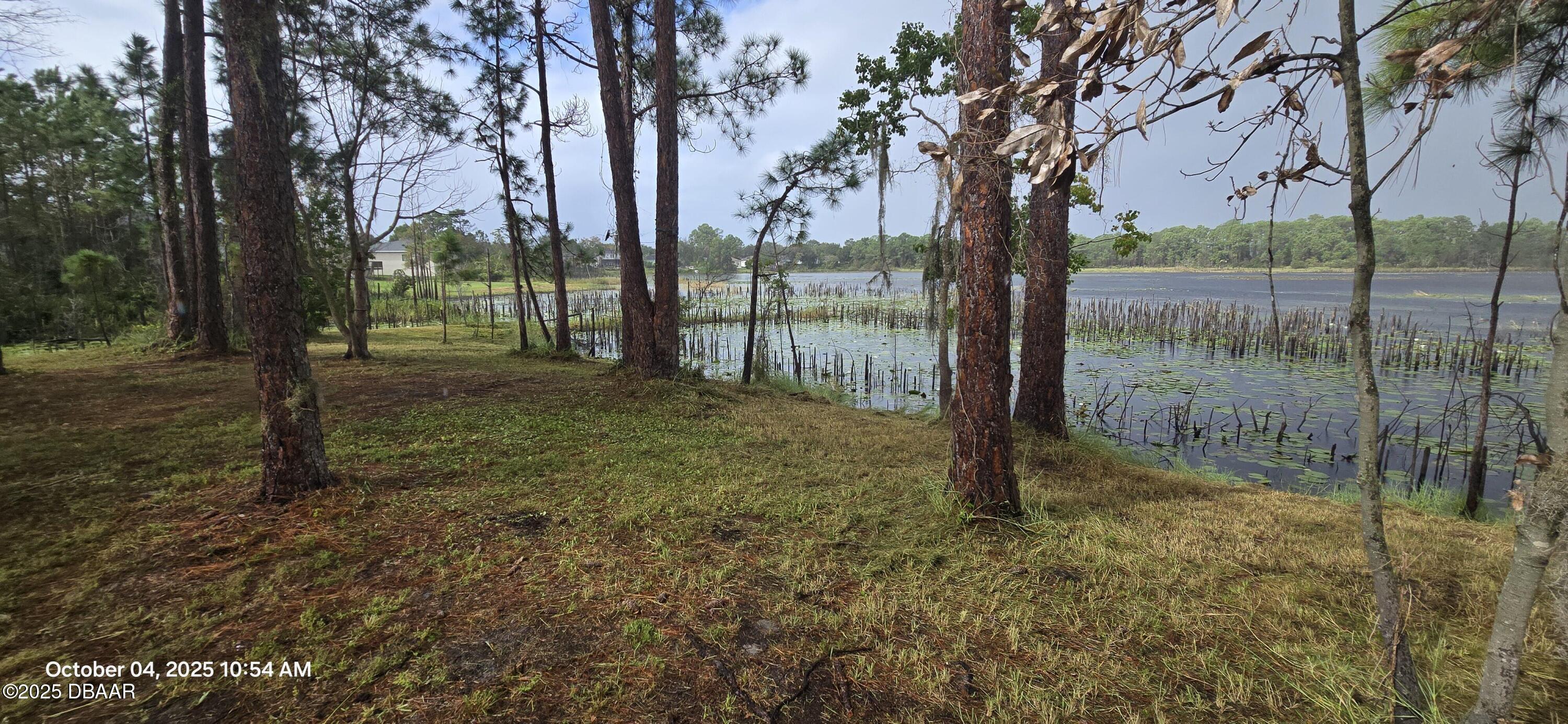 458 Haversham Road Deltona, FL 32725 - Photo 4 of 7 a backyard of a house with lots of green space