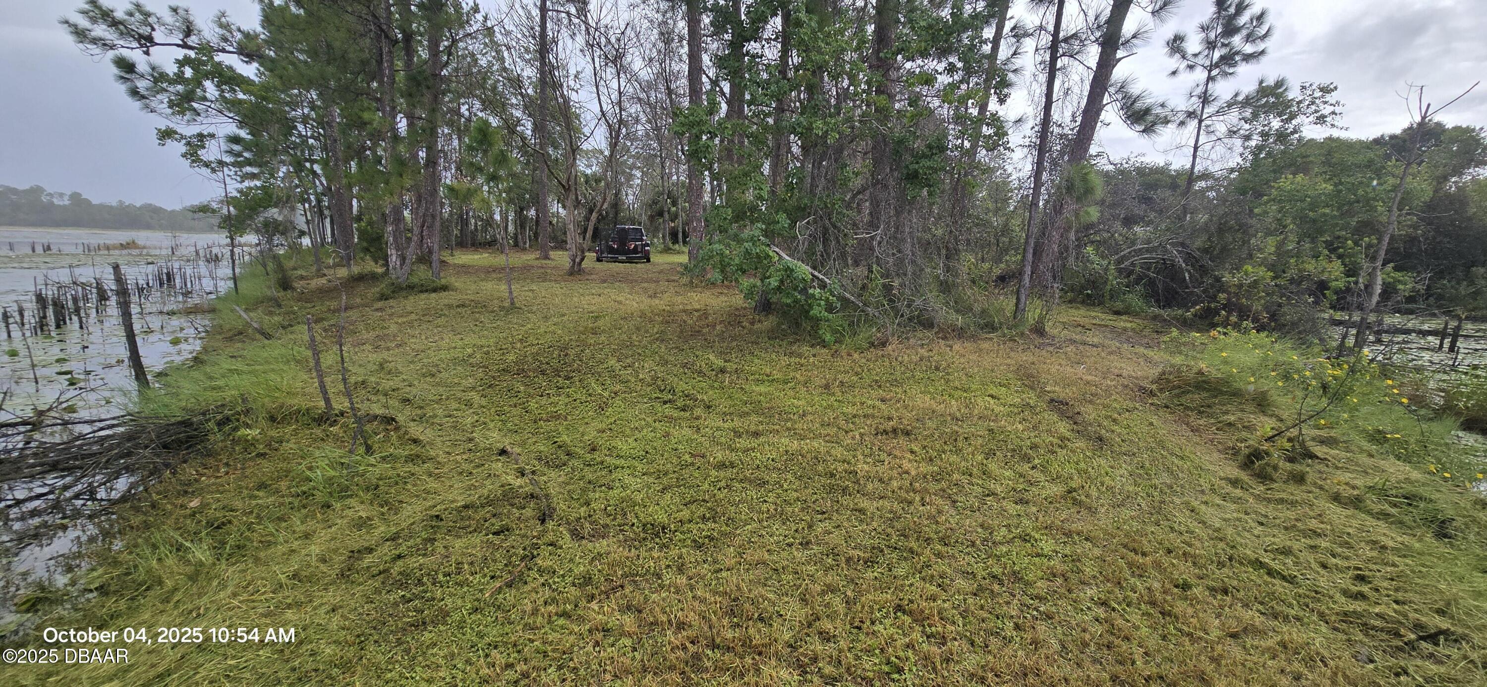 458 Haversham Road Deltona, FL 32725 - Photo 5 of 7 a big yard with lots of green space and trees