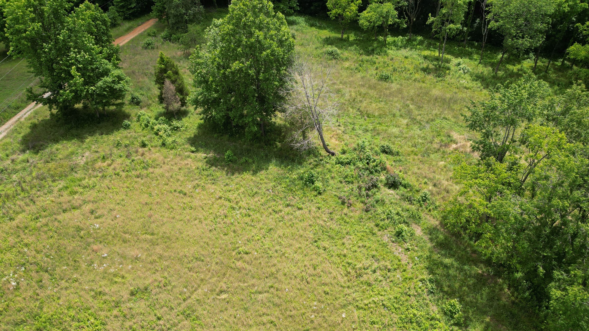 5 Poplar Ridge Lane Chapmansboro, TN 37035 - Photo 7 of 34 a view of a garden