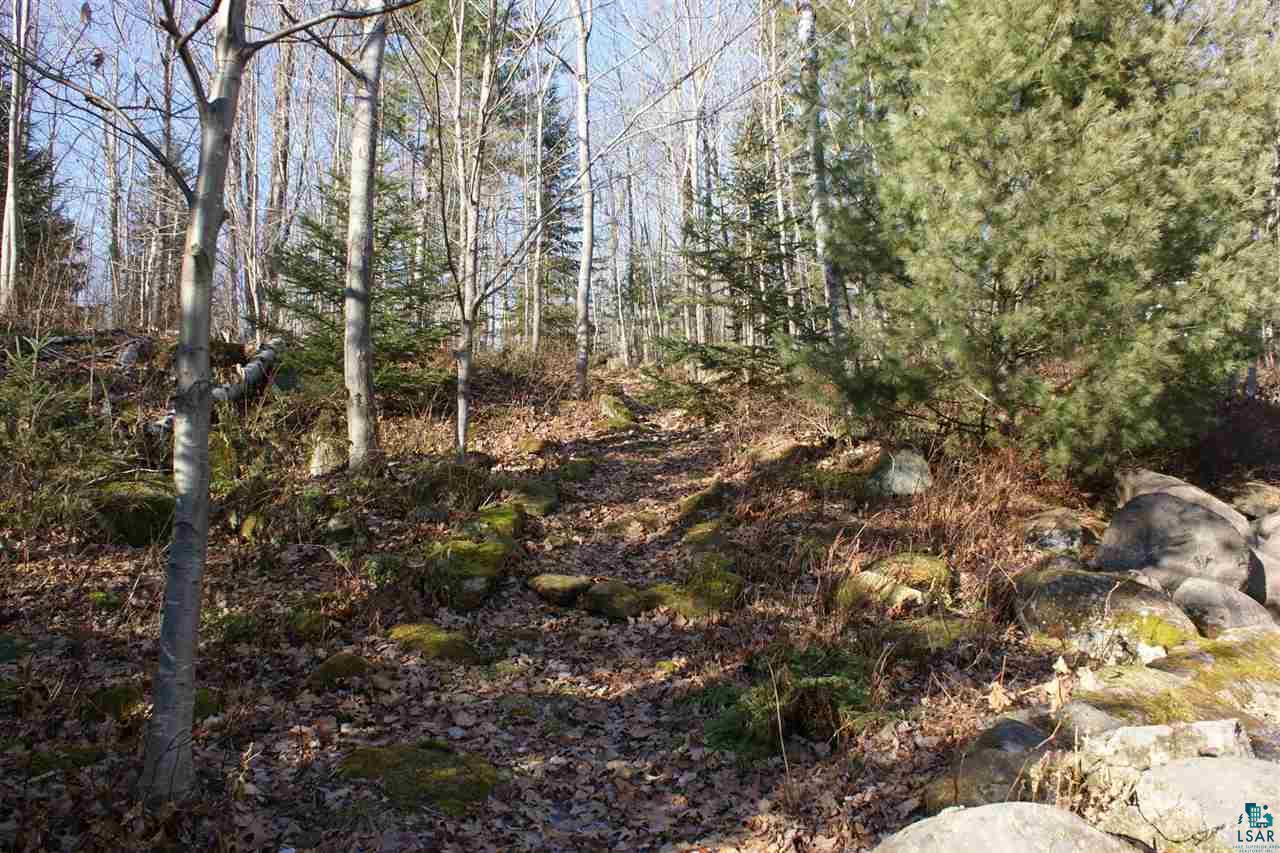 0 Blue Wing Bay Road Bayfield, WI 54814 - Photo 3 of 6 Gallery Image 3