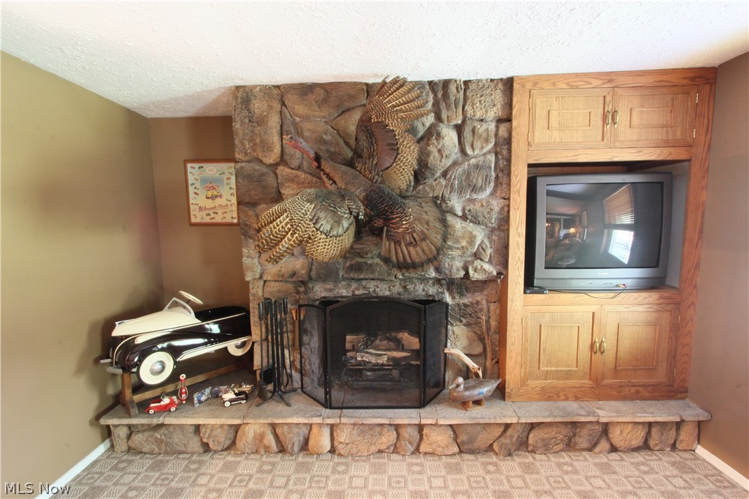 10965 Butternut Ridge Road Elyria, OH 44035 - Photo 26 of 35 Gallery Image 26