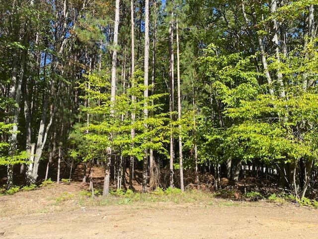6882 Pheasant Run Road Gaylord, MI 49735 - Photo 26 of 26 Gallery Image 26