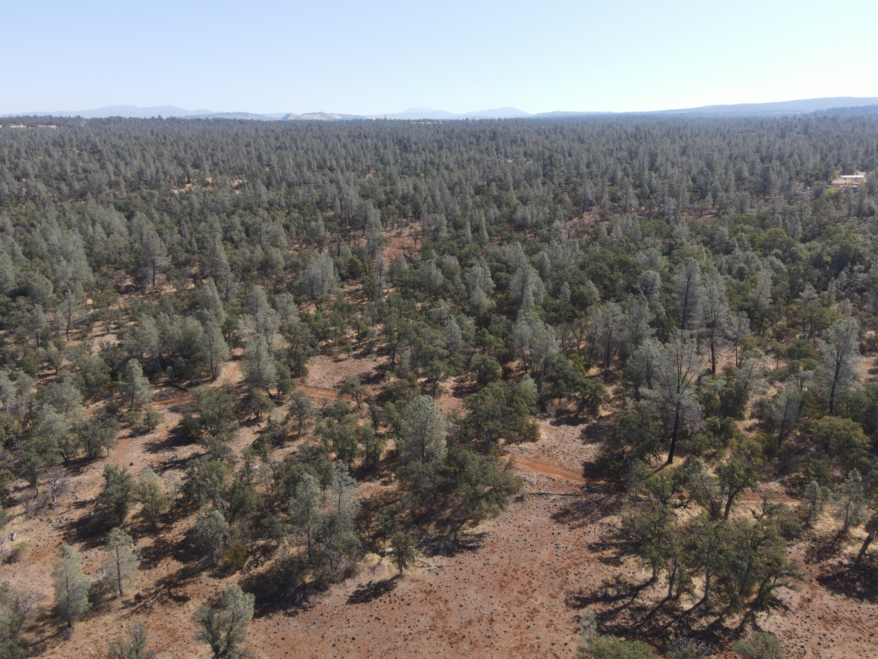 Nsa Dersch Road Shingletown, CA 96088 - Photo 28 of 56 DJI_0525_result