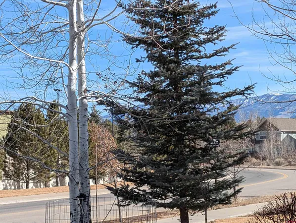 $360,000 | 20 Timberline Drive, Unit G, Pagosa Springs, CO 81147