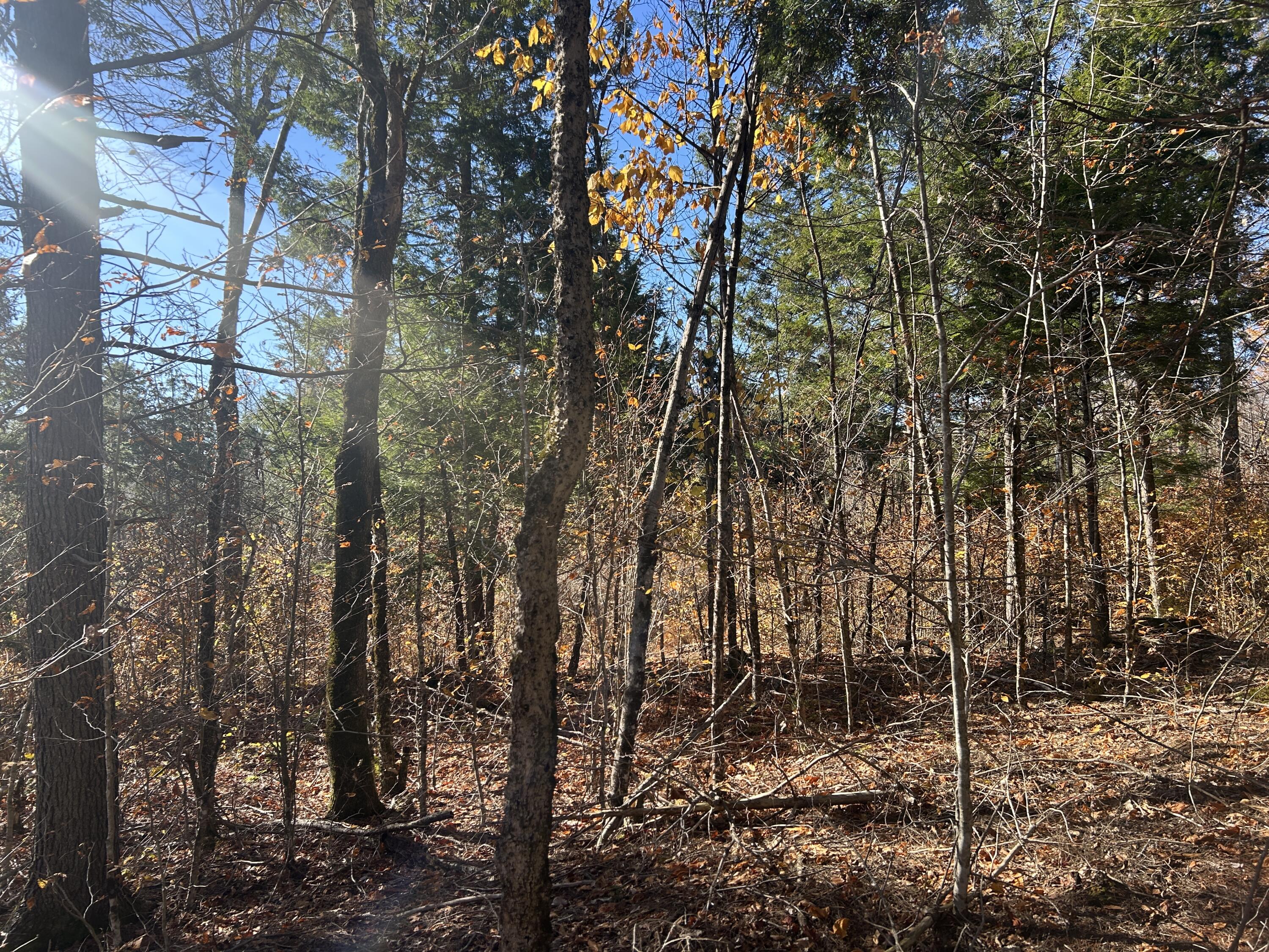 Lot B Waldoboro Road Washington, ME 04574 - Photo 13 of 18 2BDE9EB8-31DE-4661-8D49-22F179EAE696