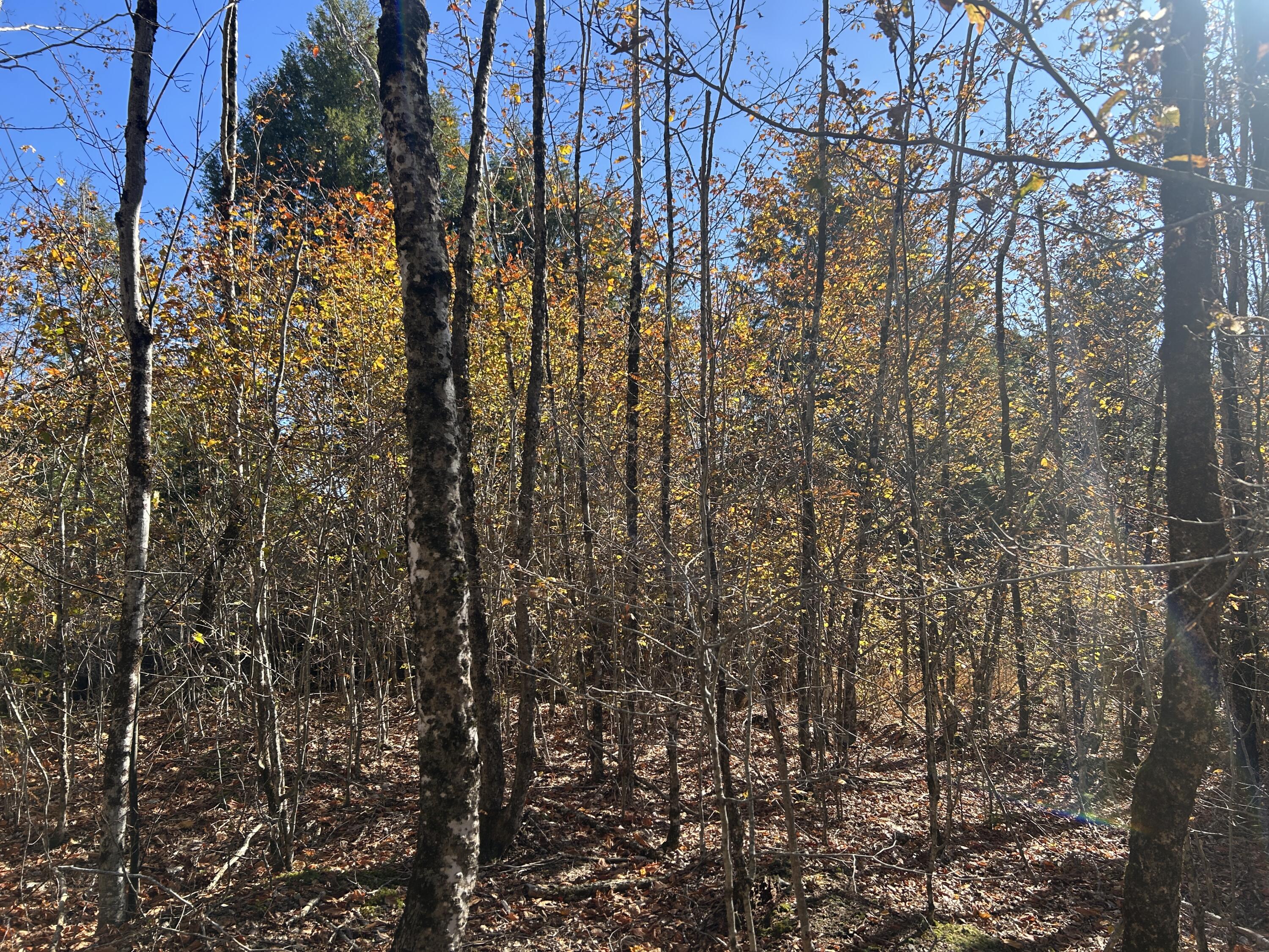 Lot B Waldoboro Road Washington, ME 04574 - Photo 14 of 18 66A18102-7E96-4121-96AE-70A30E780377