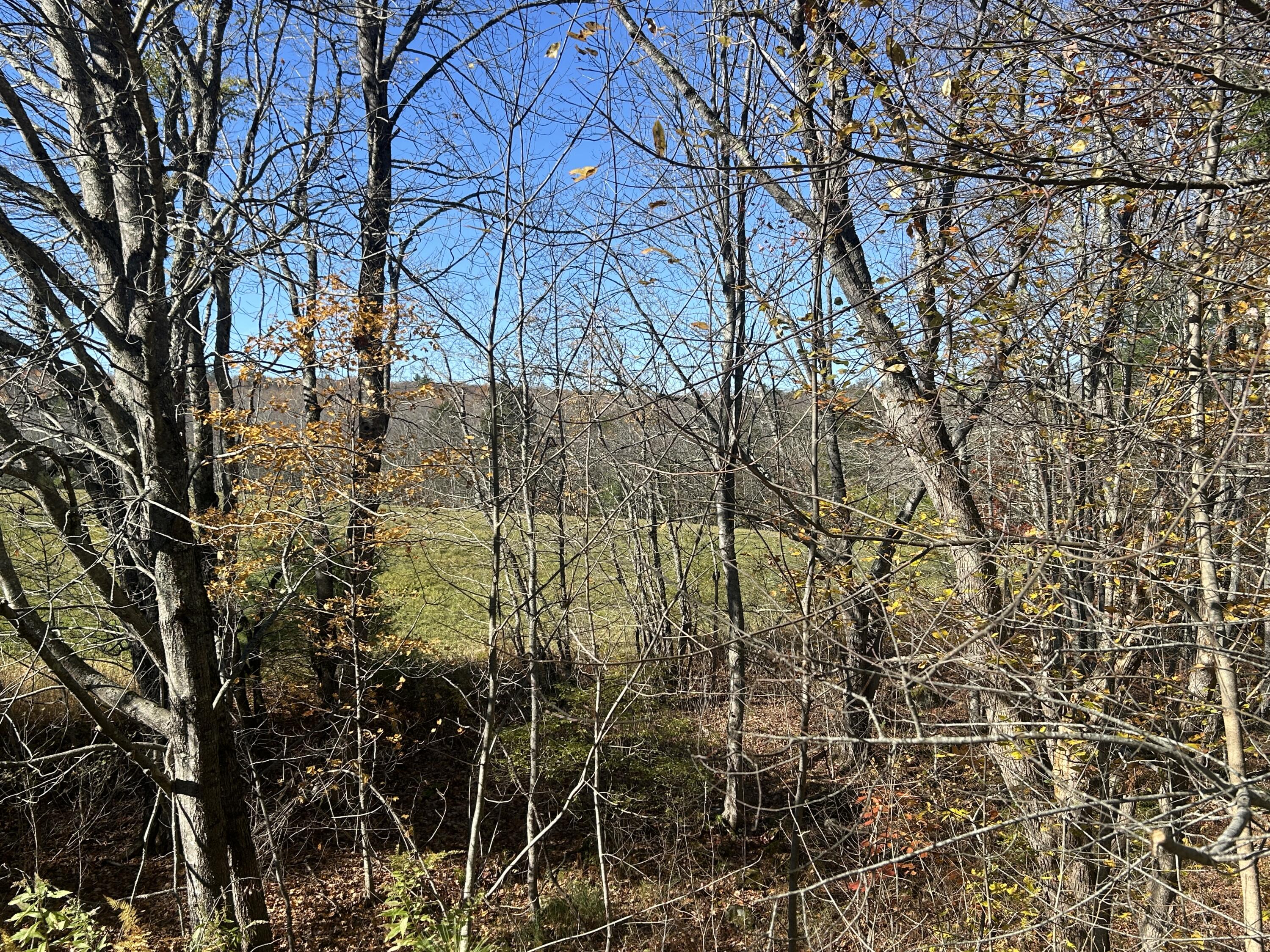 Lot B Waldoboro Road Washington, ME 04574 - Photo 10 of 18 6B94A0A7-C4E5-4313-9B3C-7DBB3CD1A57E