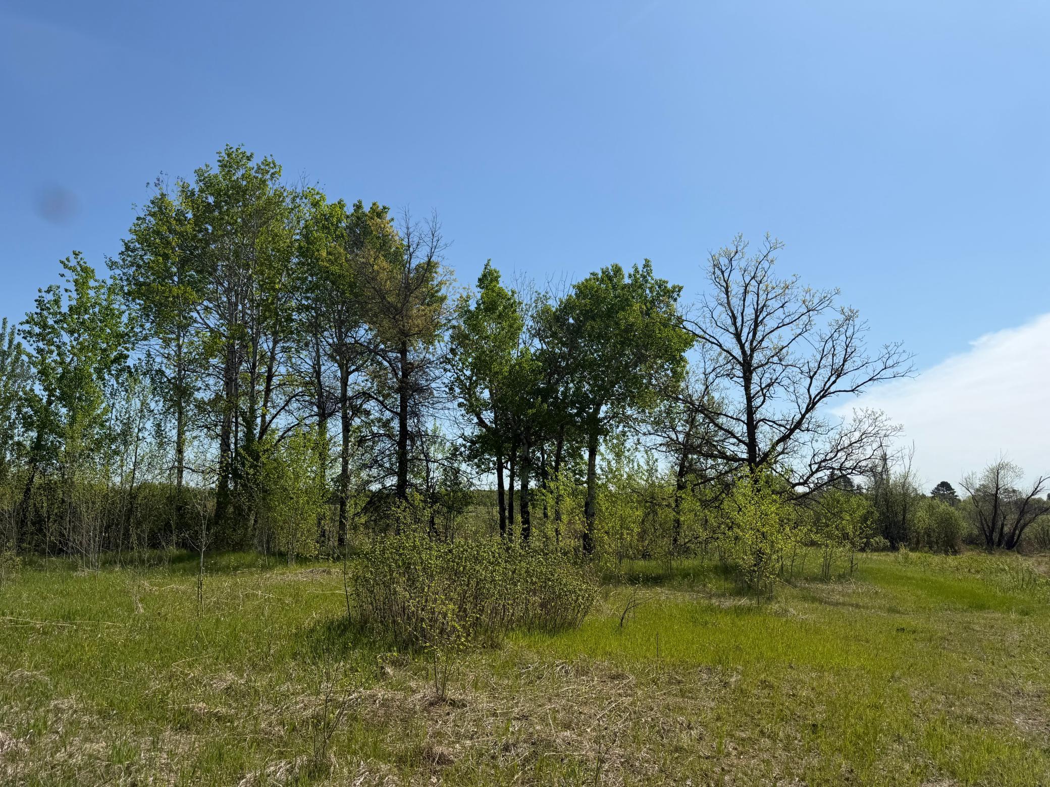 14 Sebeka Mn 56477 Sebeka, MN 56477 - Photo 74 of 79