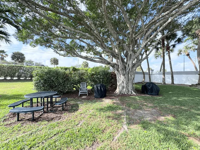 a view of a chair and table on the garden