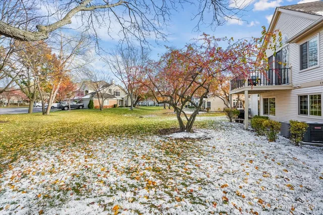 a view of a yard with a tree